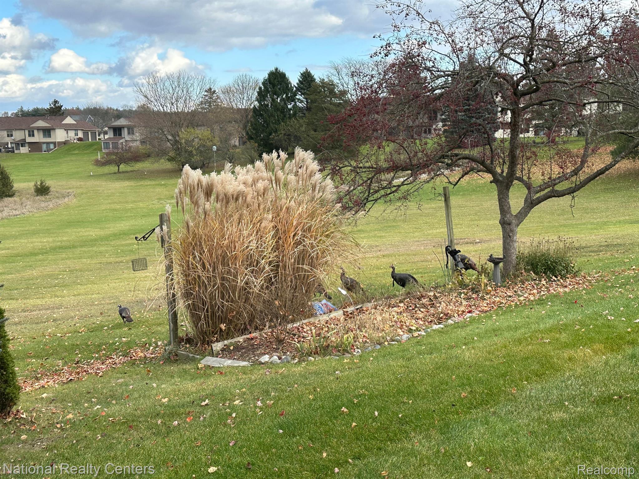 12043 Shenandoah Drive Green Oak Township MI 48178