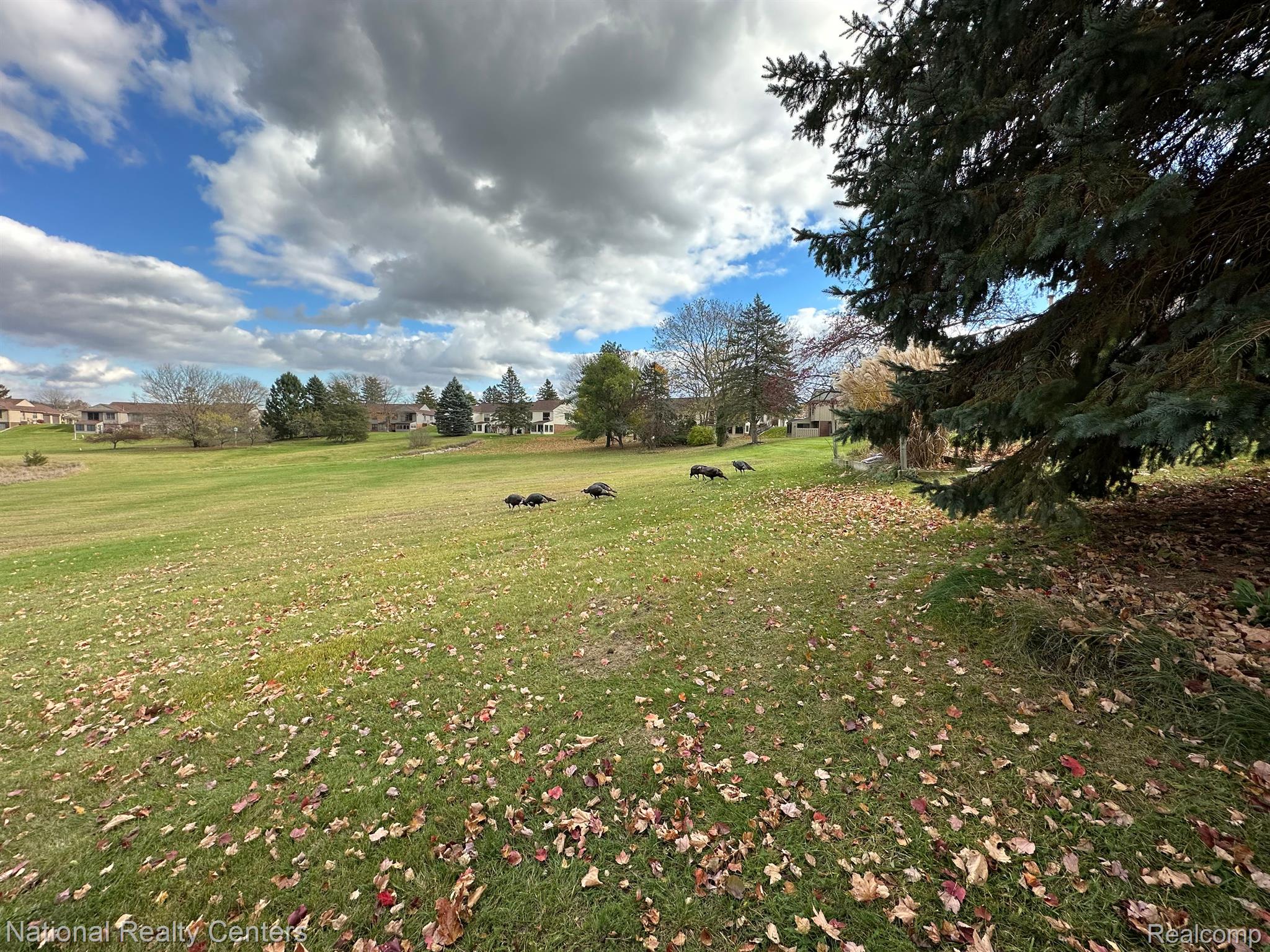 12043 Shenandoah Drive Green Oak Township MI 48178