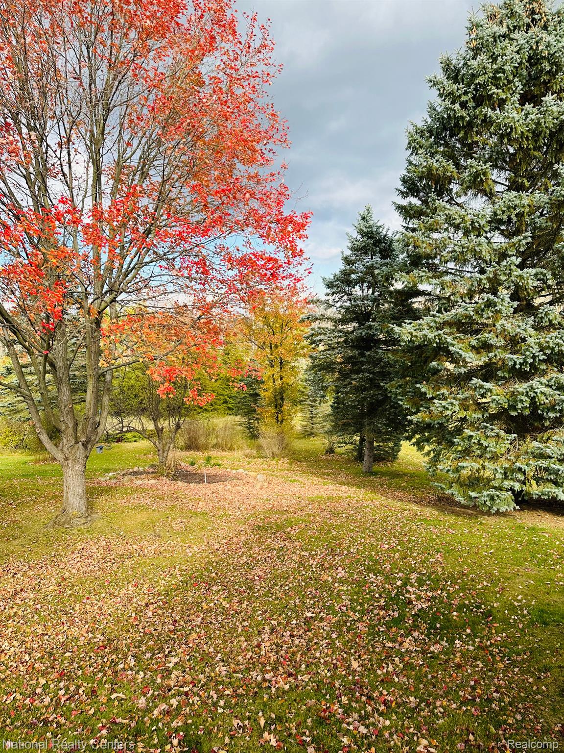 12043 Shenandoah Drive Green Oak Township MI 48178