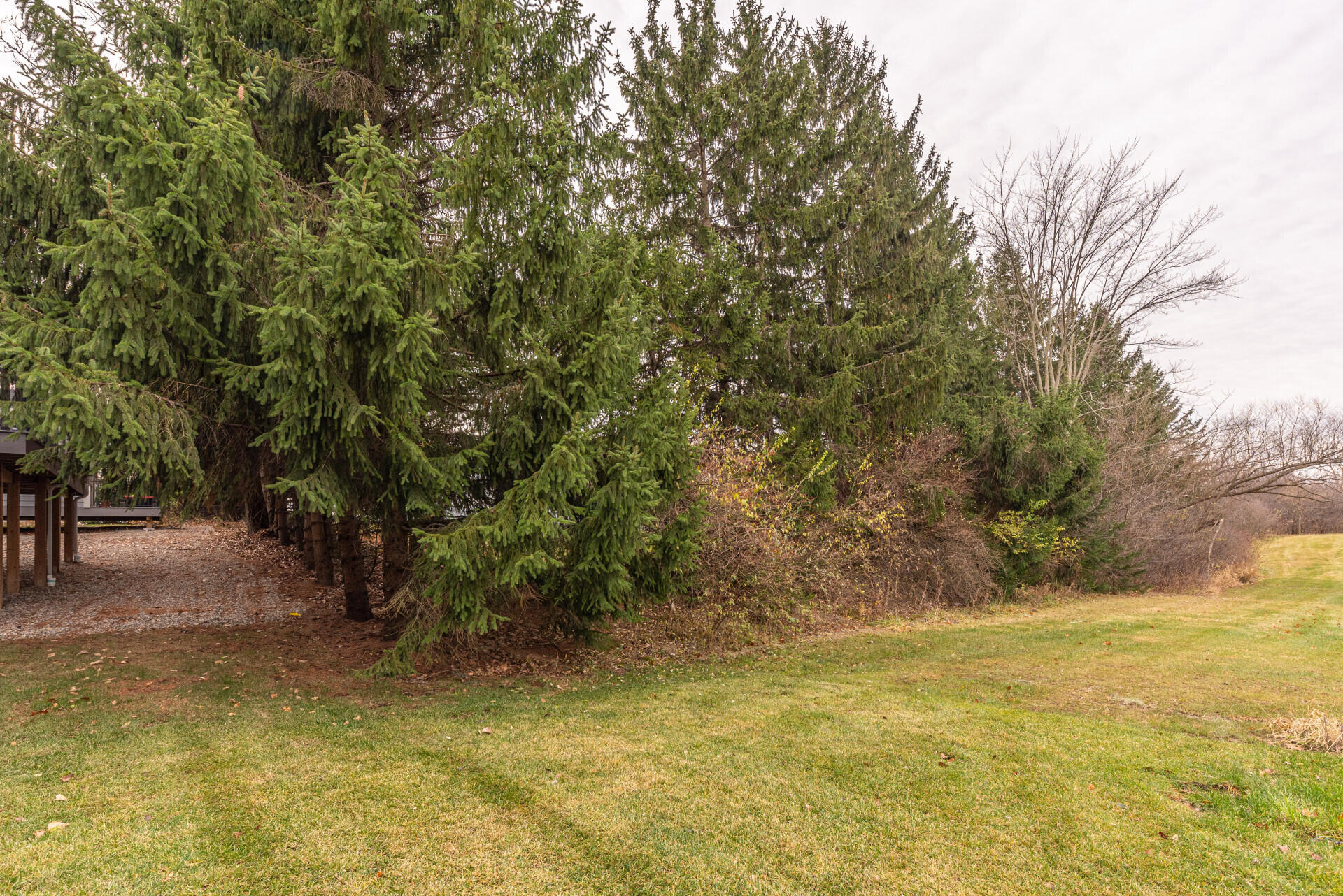 7034 Black Cherry Lane Pittsfield Charter Township MI 48176