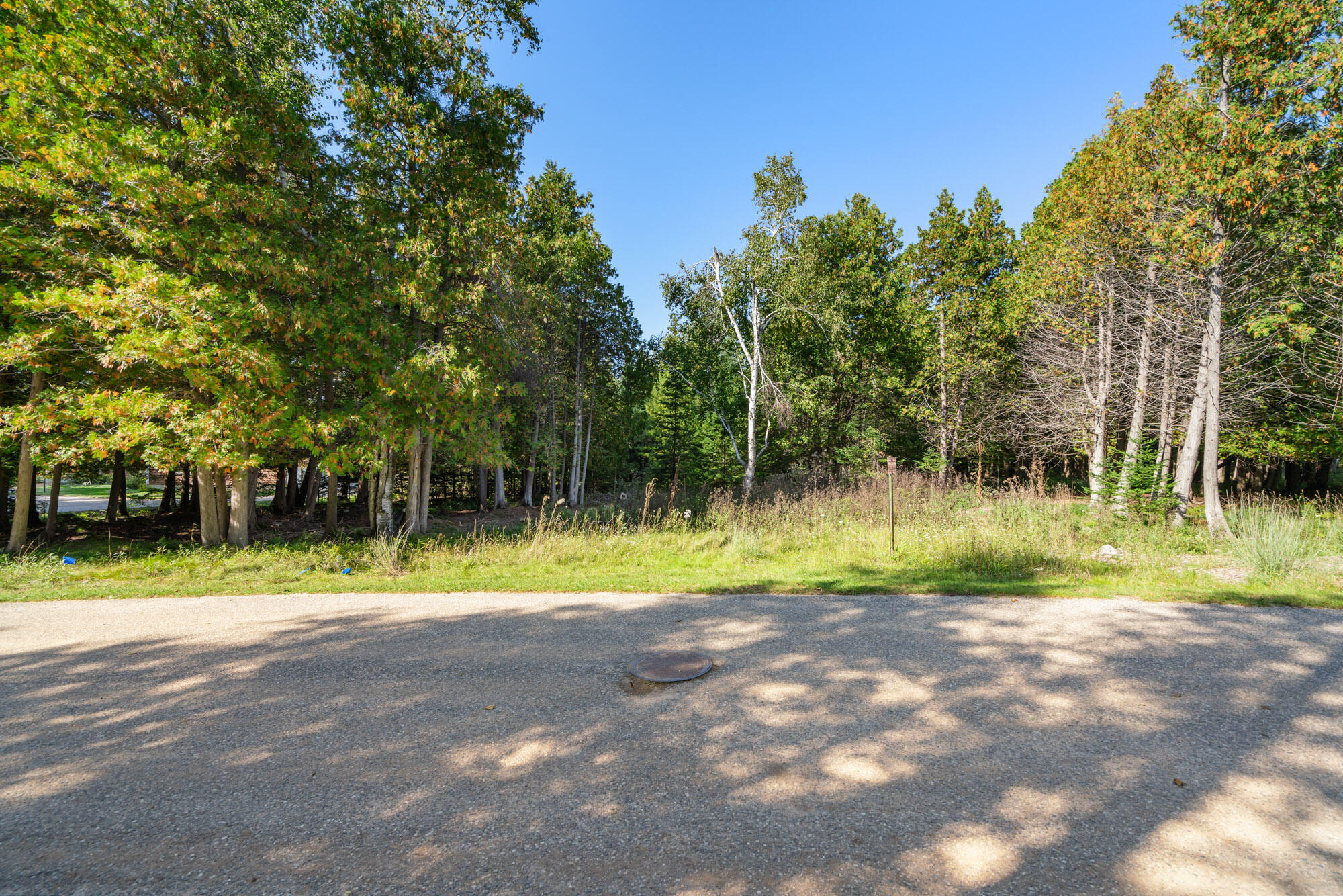 17 N Stonebridge Drive Hayes Township MI 49720