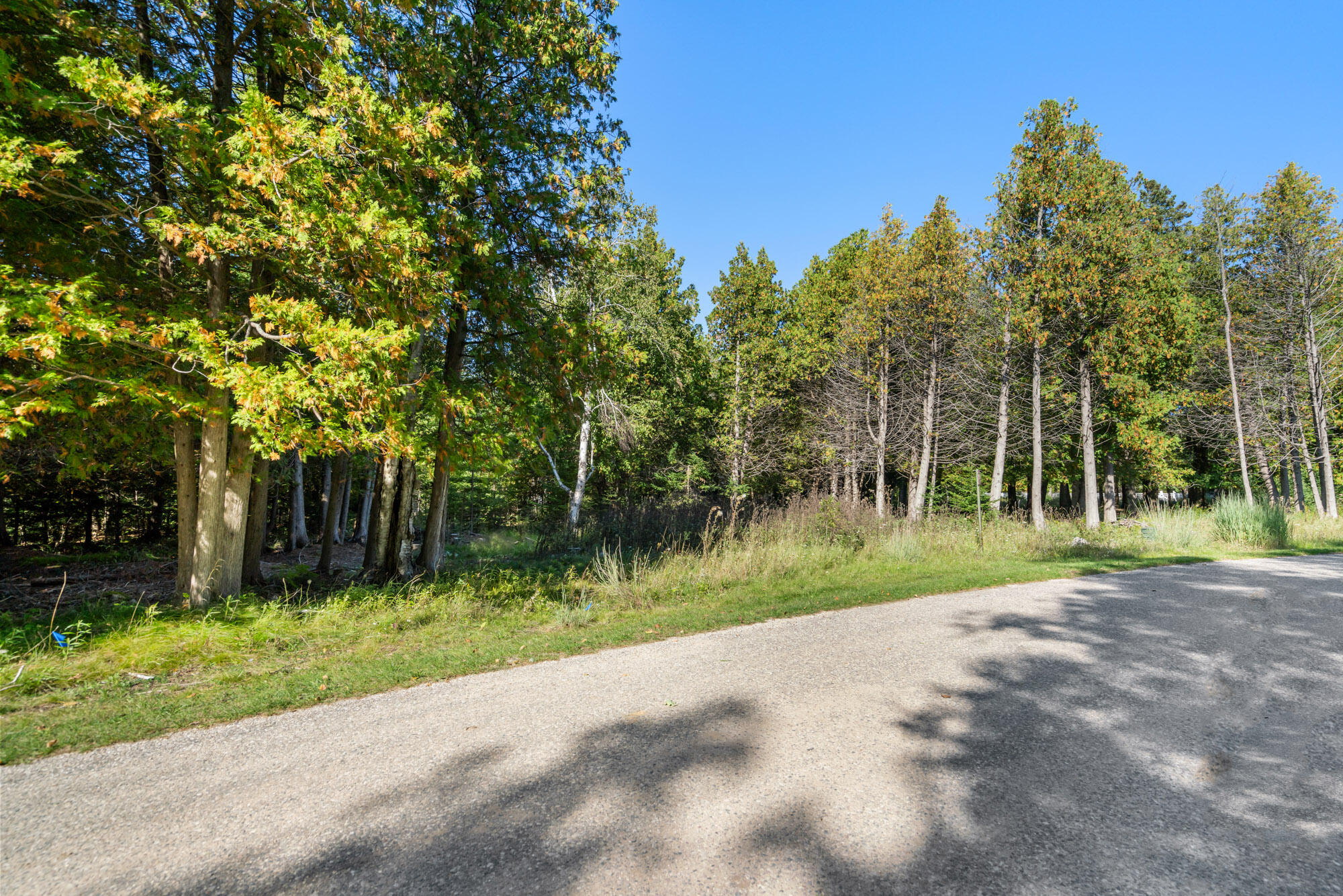 17 N Stonebridge Drive Hayes Township MI 49720