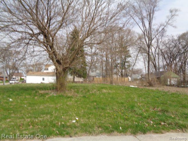 12932 Dwyer Street Hamtramck City MI 48212