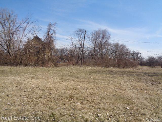 570 Concord Street Detroit City MI 48207