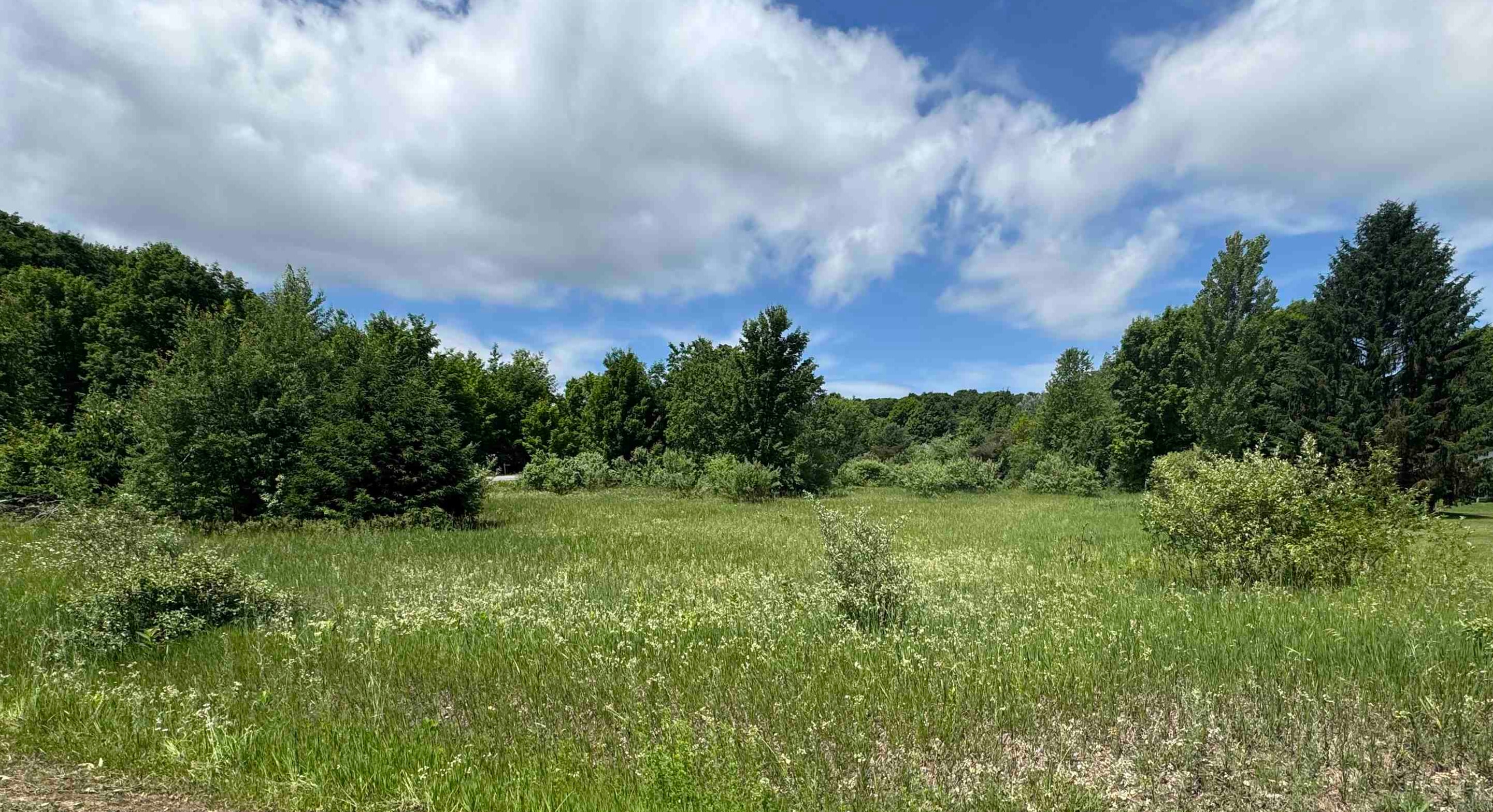 Lots 32 S Ski View Circle Centerville Township MI 49621