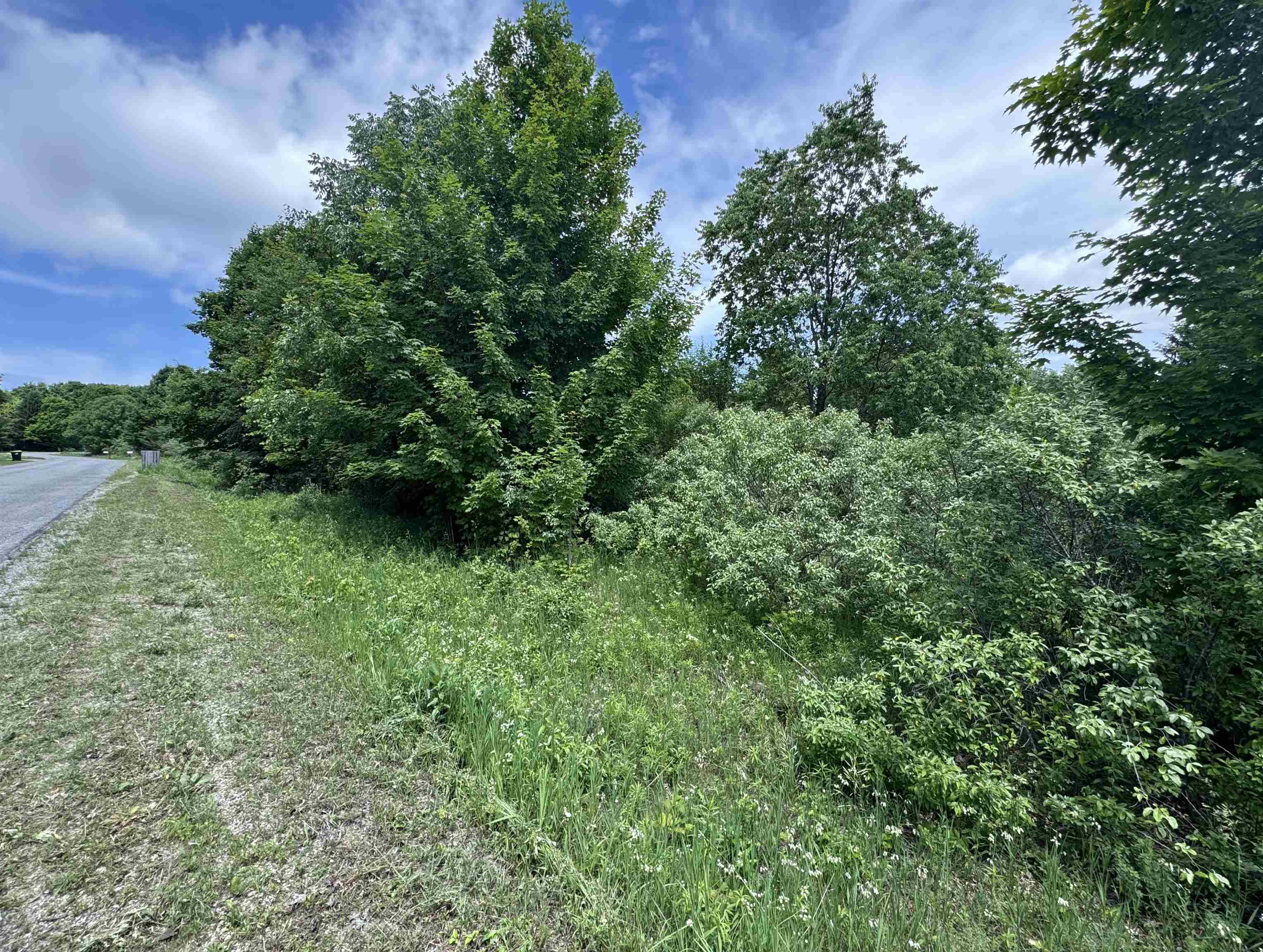 Lots 32 S Ski View Circle Centerville Township MI 49621