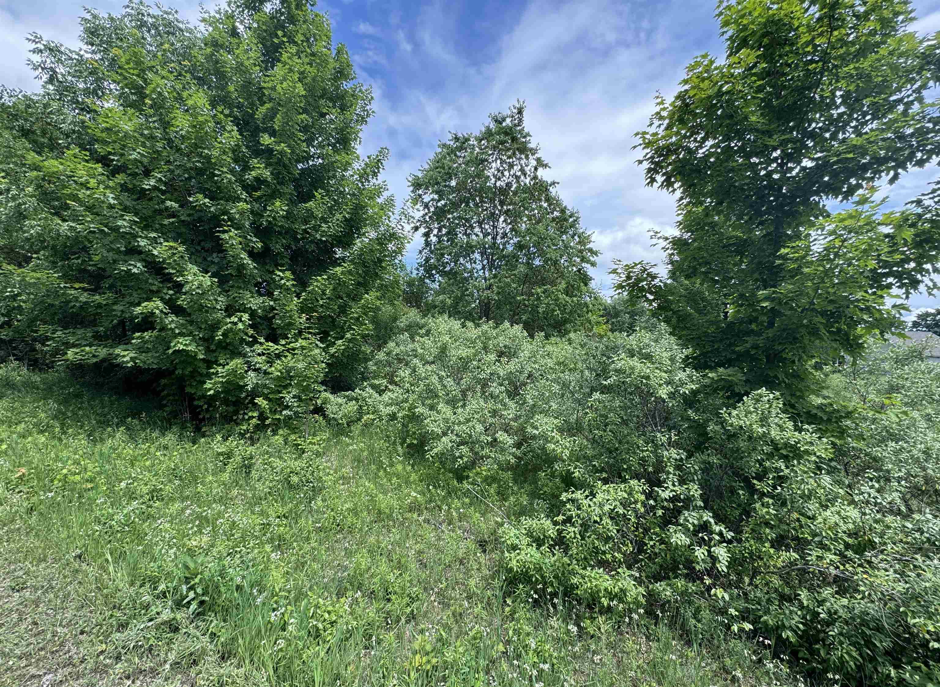 Lots 32 S Ski View Circle Centerville Township MI 49621