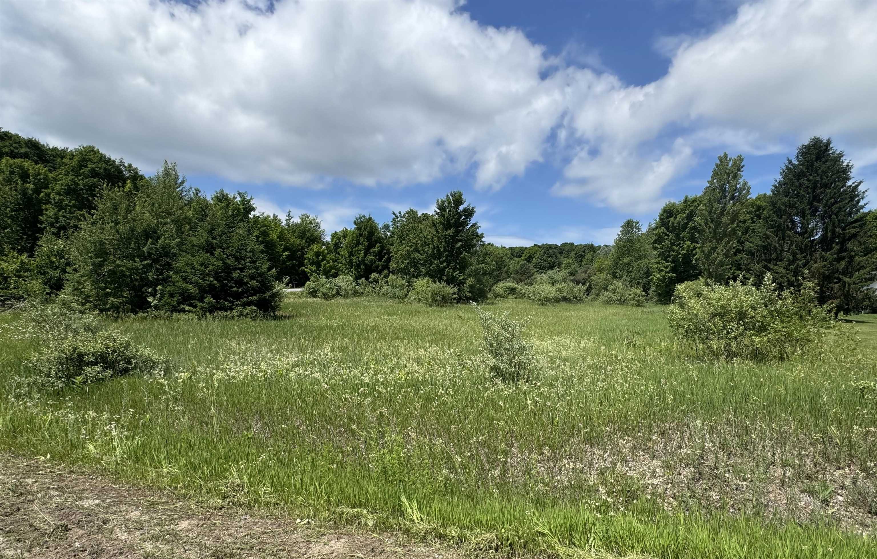 Lots 32 S Ski View Circle Centerville Township MI 49621