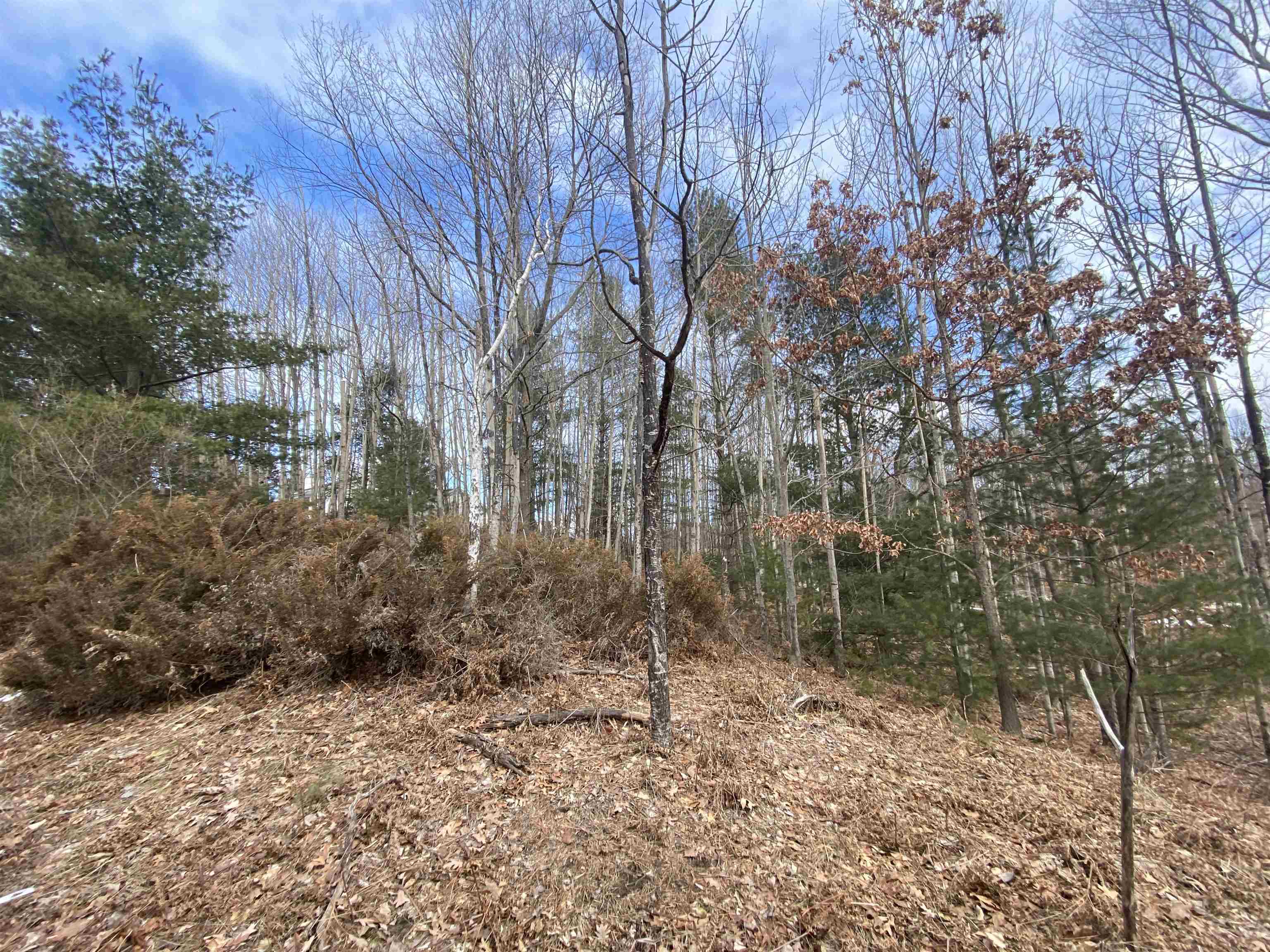 Lot 31 Scenic Hills Drive Acme Township MI 49690
