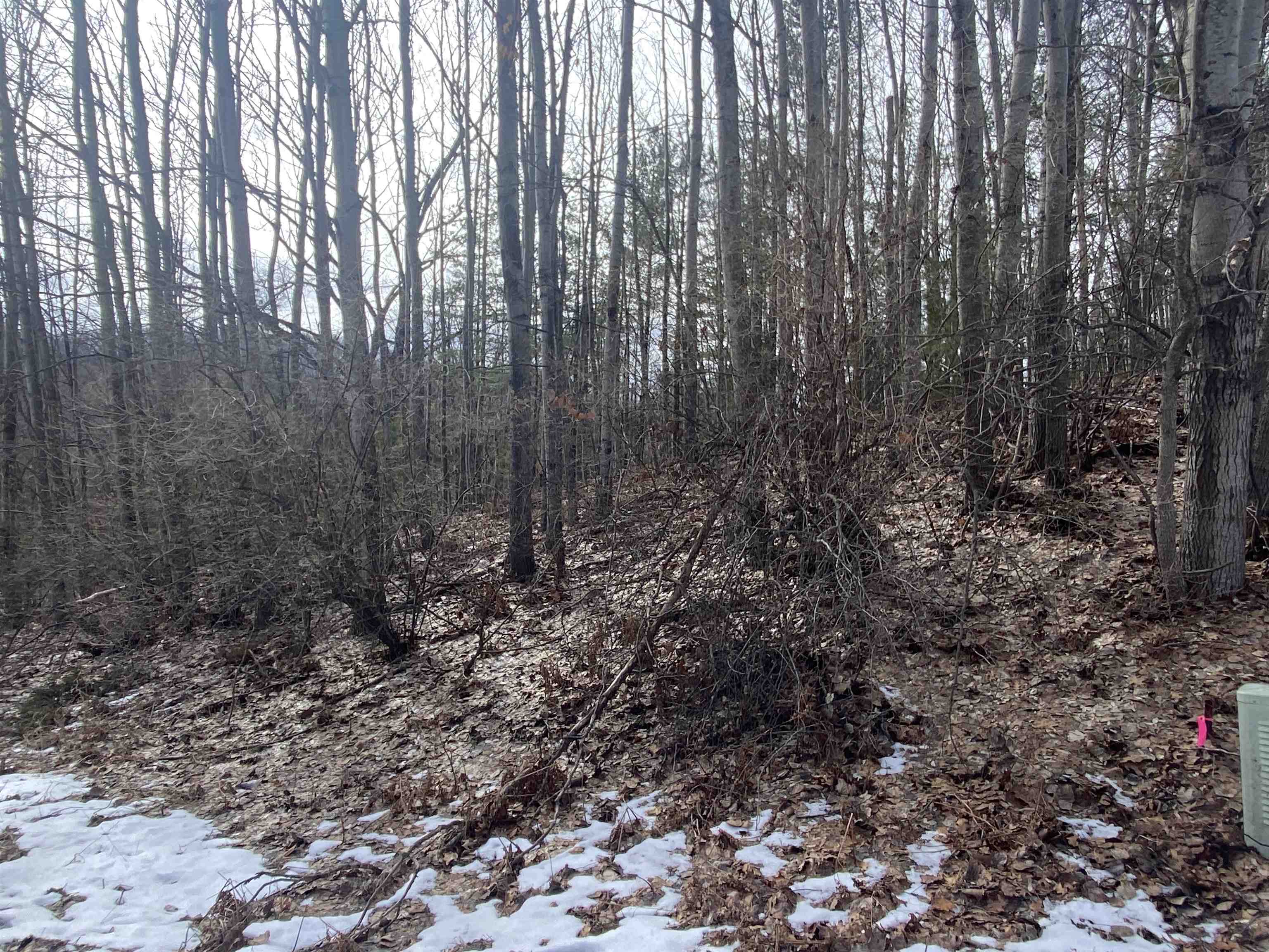 Lot 31 Scenic Hills Drive Acme Township MI 49690