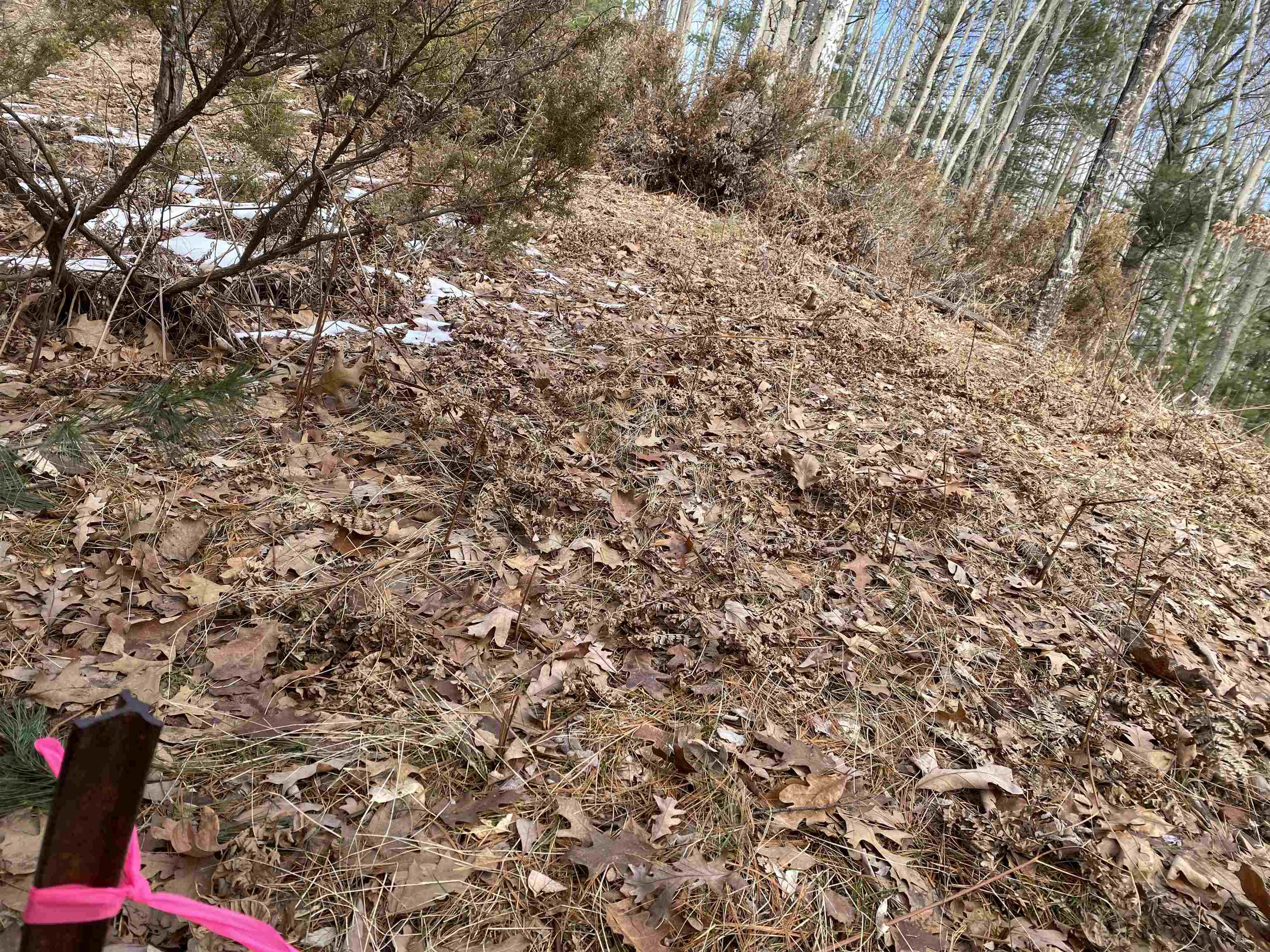 Lot 31 Scenic Hills Drive Acme Township MI 49690