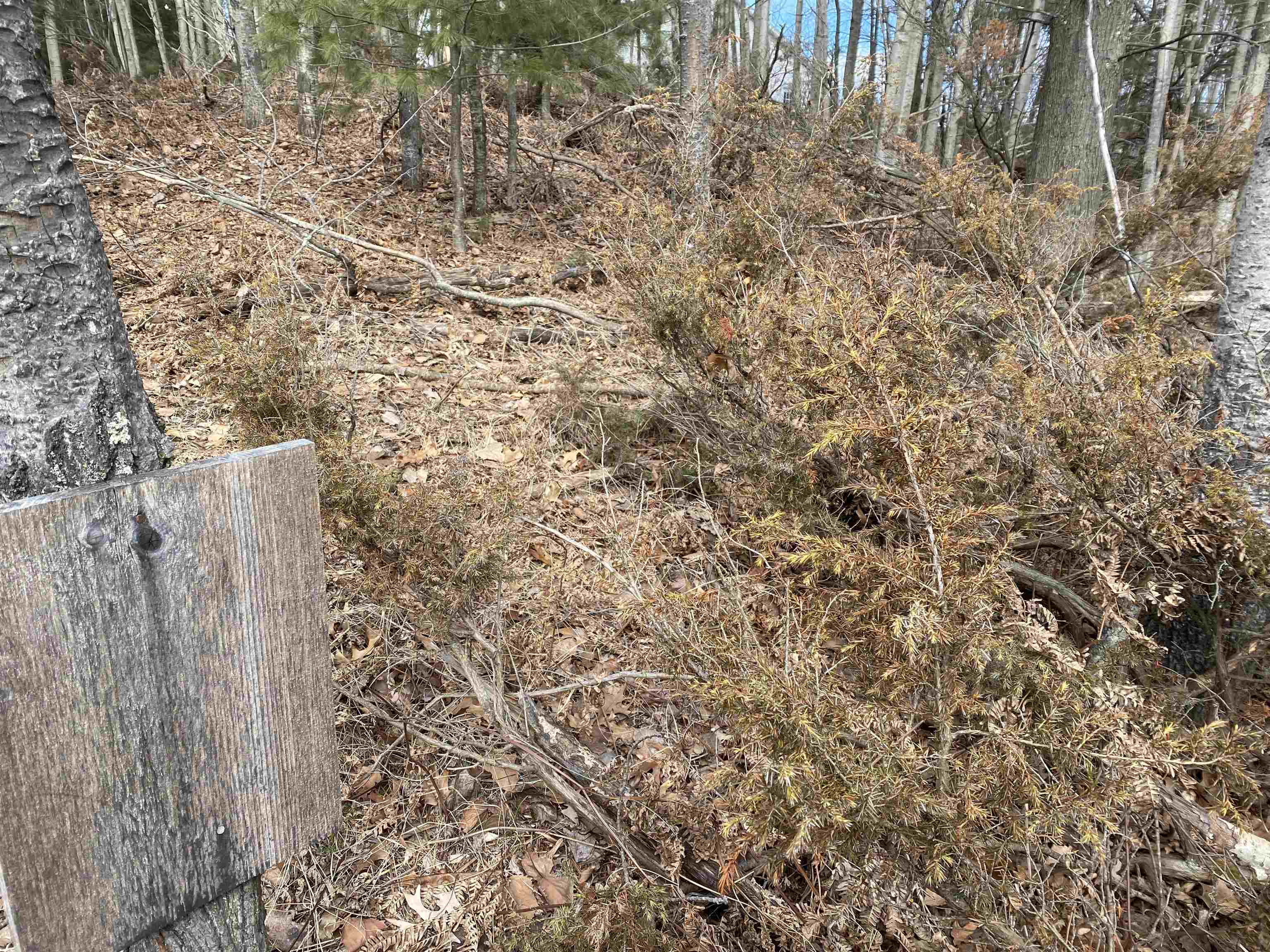 Lot 31 Scenic Hills Drive Acme Township MI 49690
