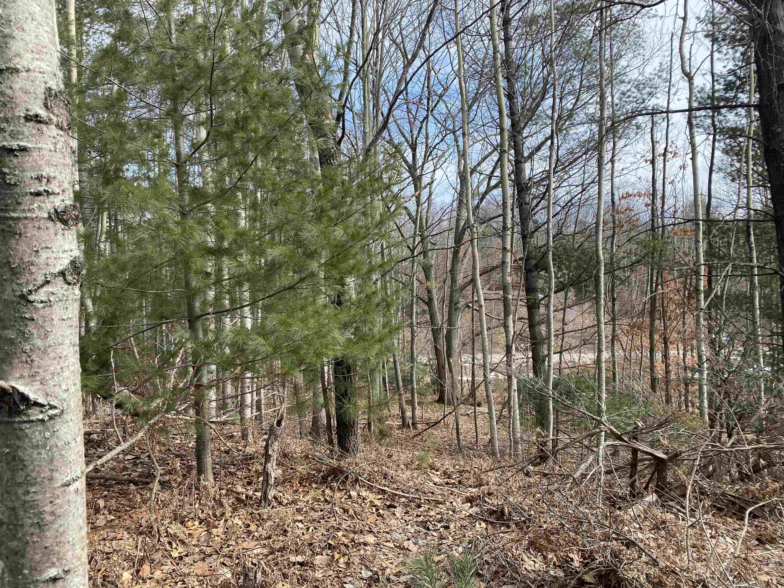 Lot 31 Scenic Hills Drive Acme Township MI 49690