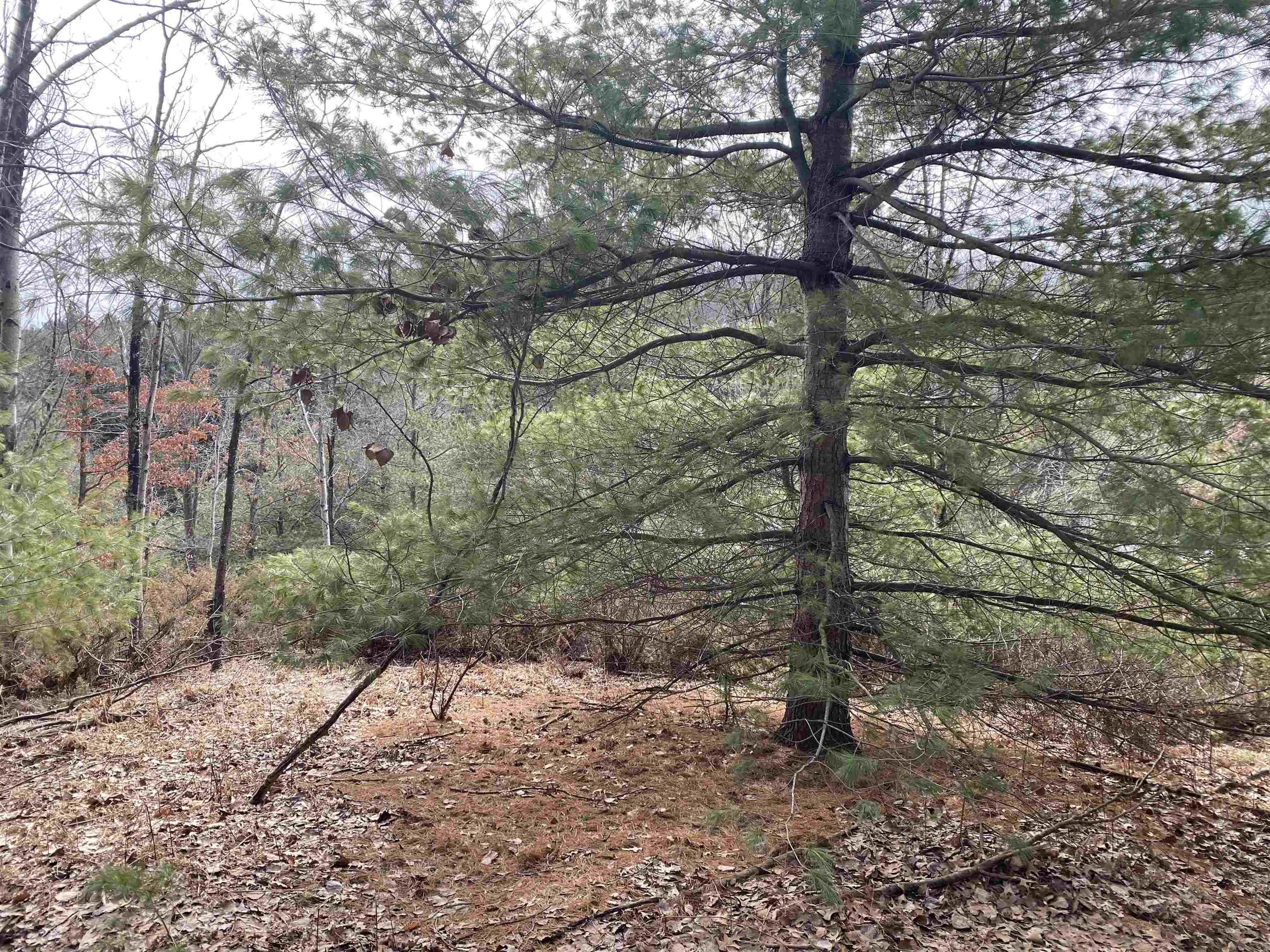 Lot 31 Scenic Hills Drive Acme Township MI 49690