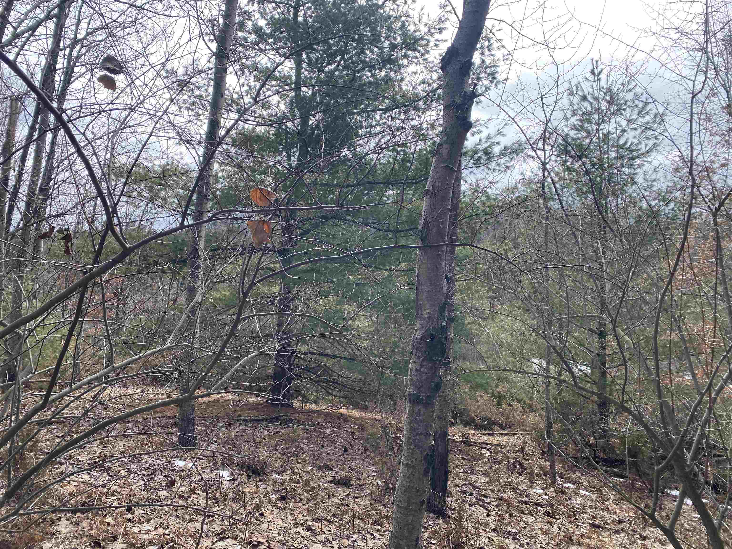 Lot 31 Scenic Hills Drive Acme Township MI 49690