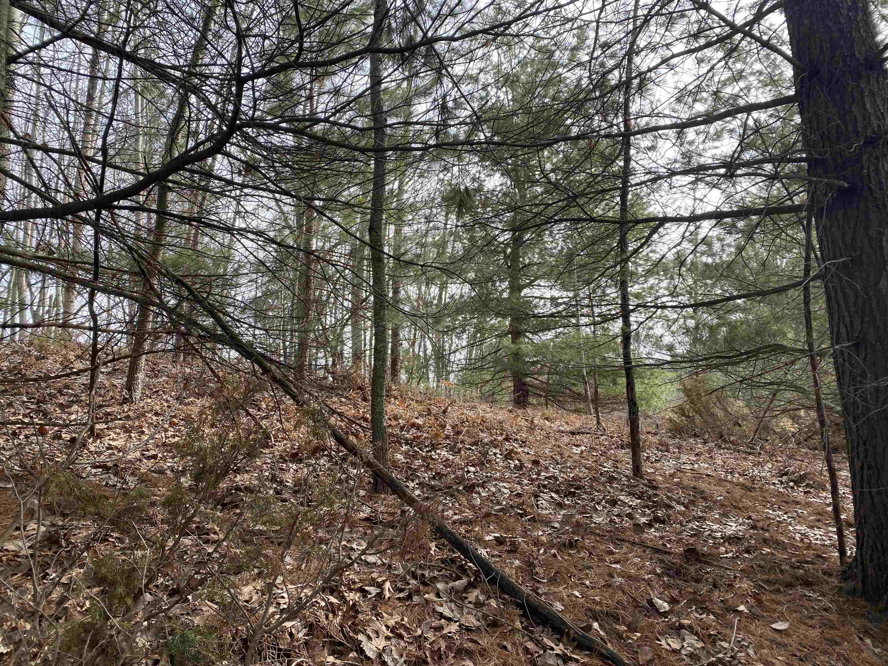 Lot 31 Scenic Hills Drive Acme Township MI 49690