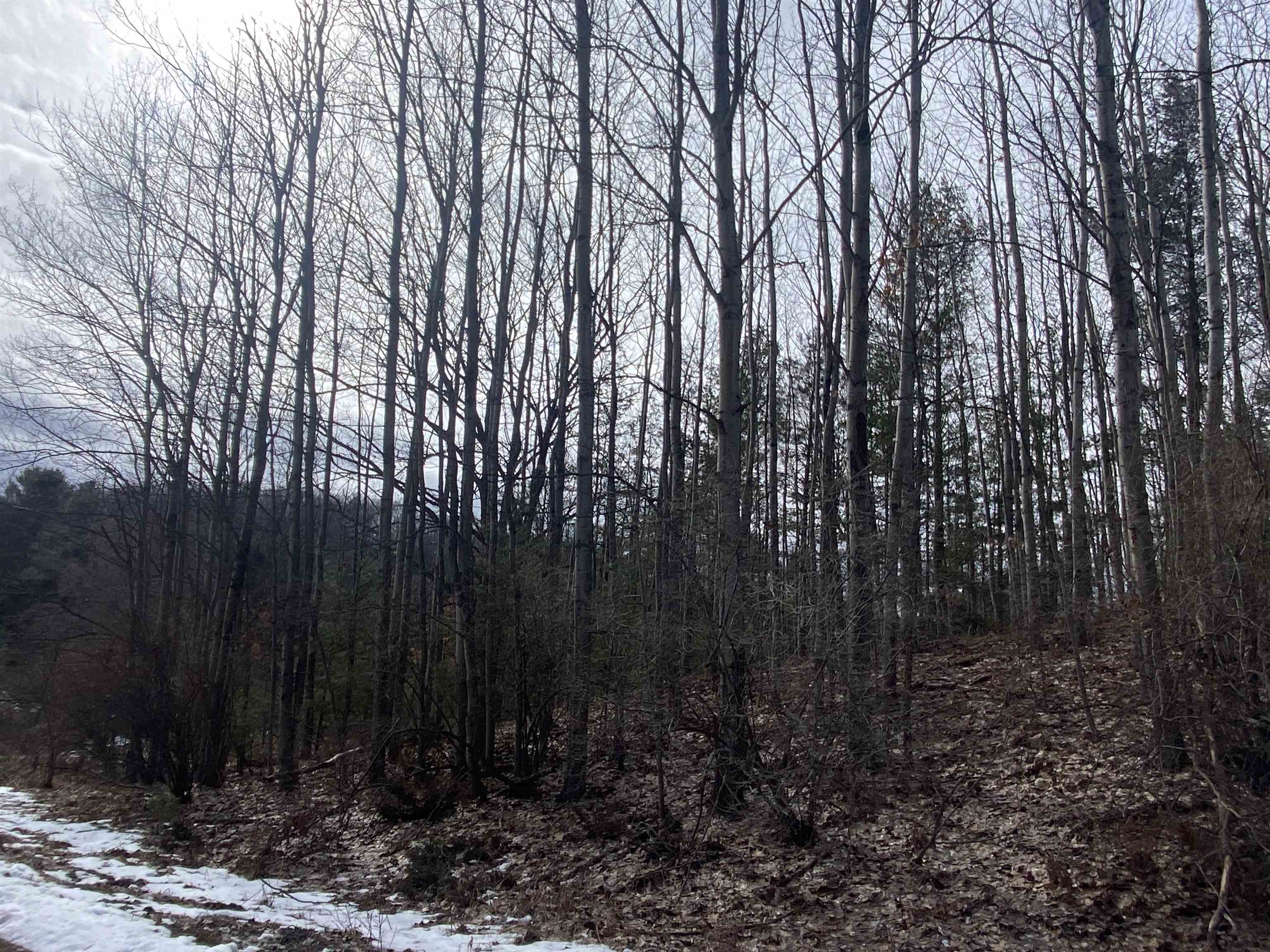 Lot 31 Scenic Hills Drive Acme Township MI 49690
