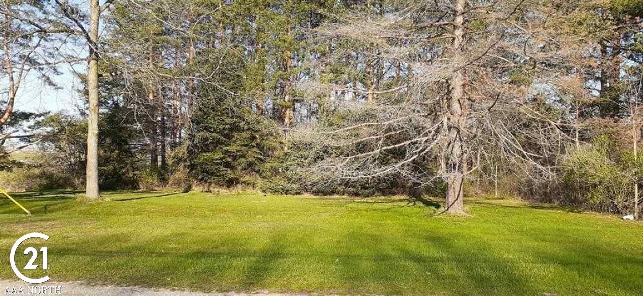 0 W Park (lot 8) Street Capac Village MI 48014