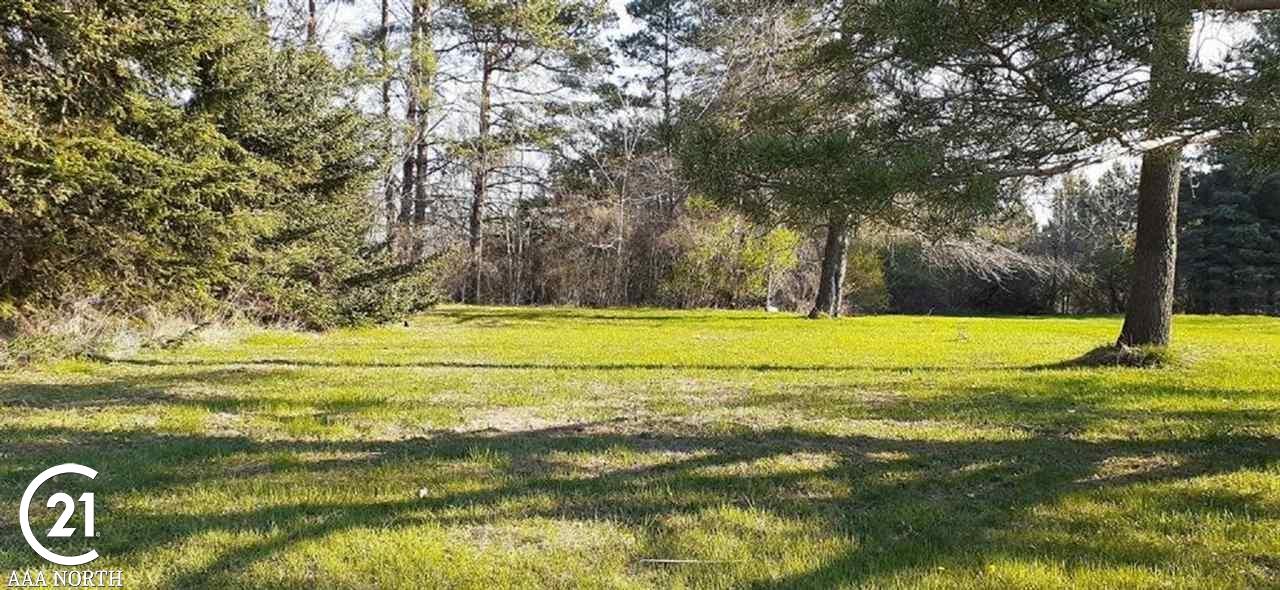 0 W Park (lot 8) Street Capac Village MI 48014