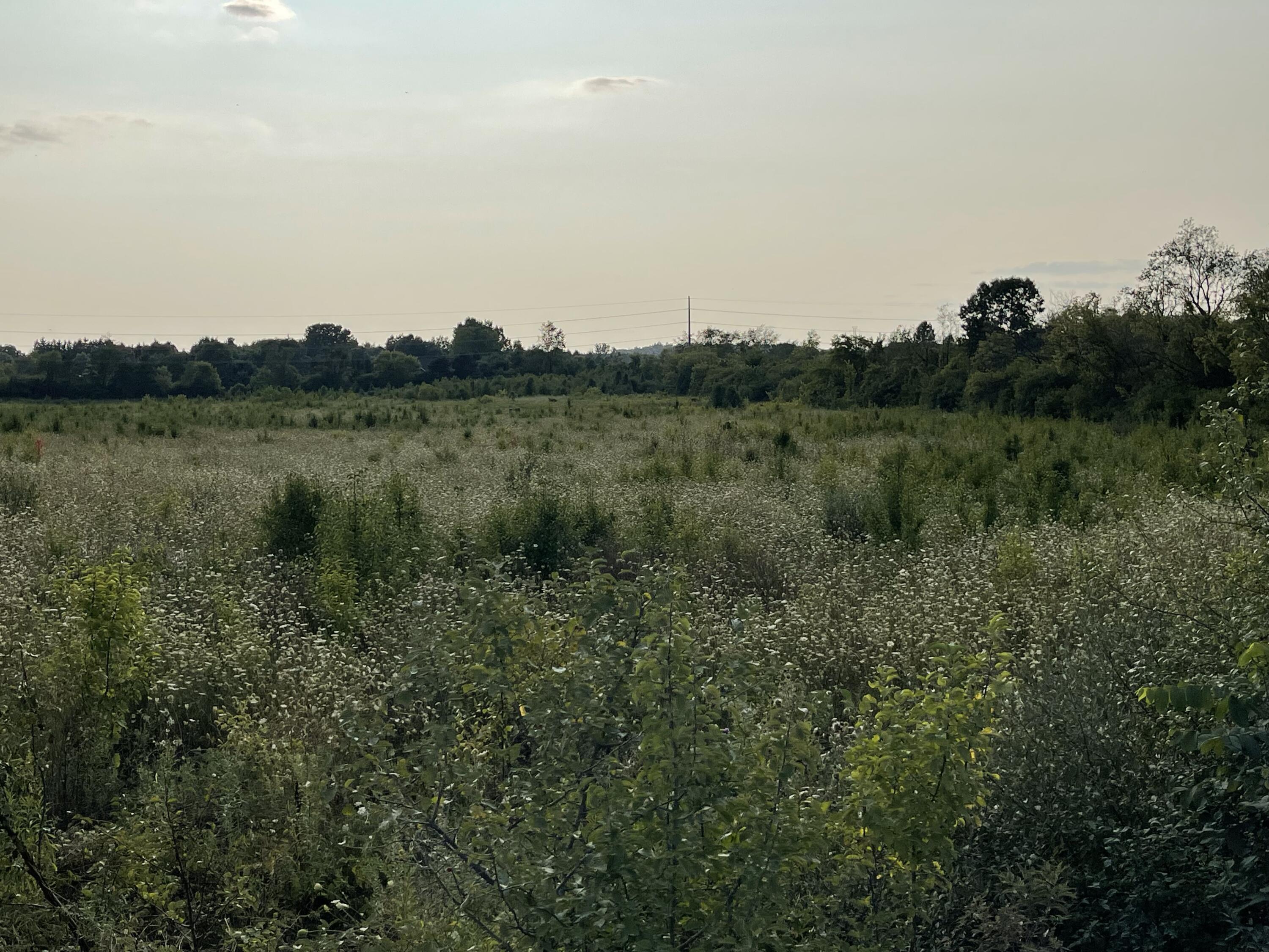 Lot 1 Munger Road Pittsfield Charter Township MI 48197