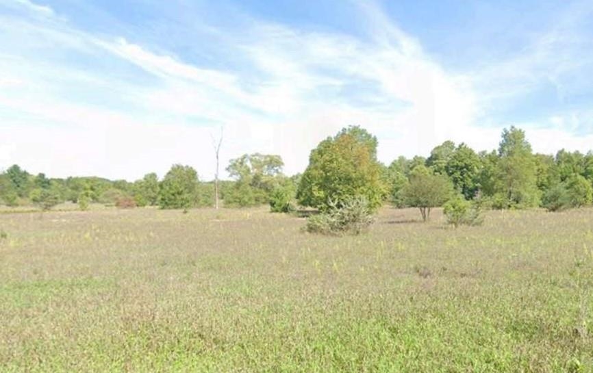 Unit 5 North Street Colfax Township MI 49683