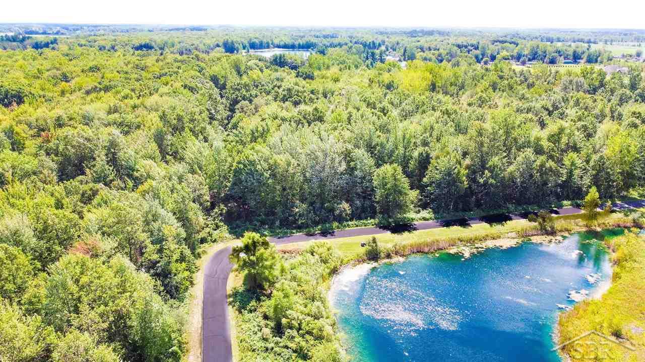 6 Widgeon Way Richland Township MI 48626