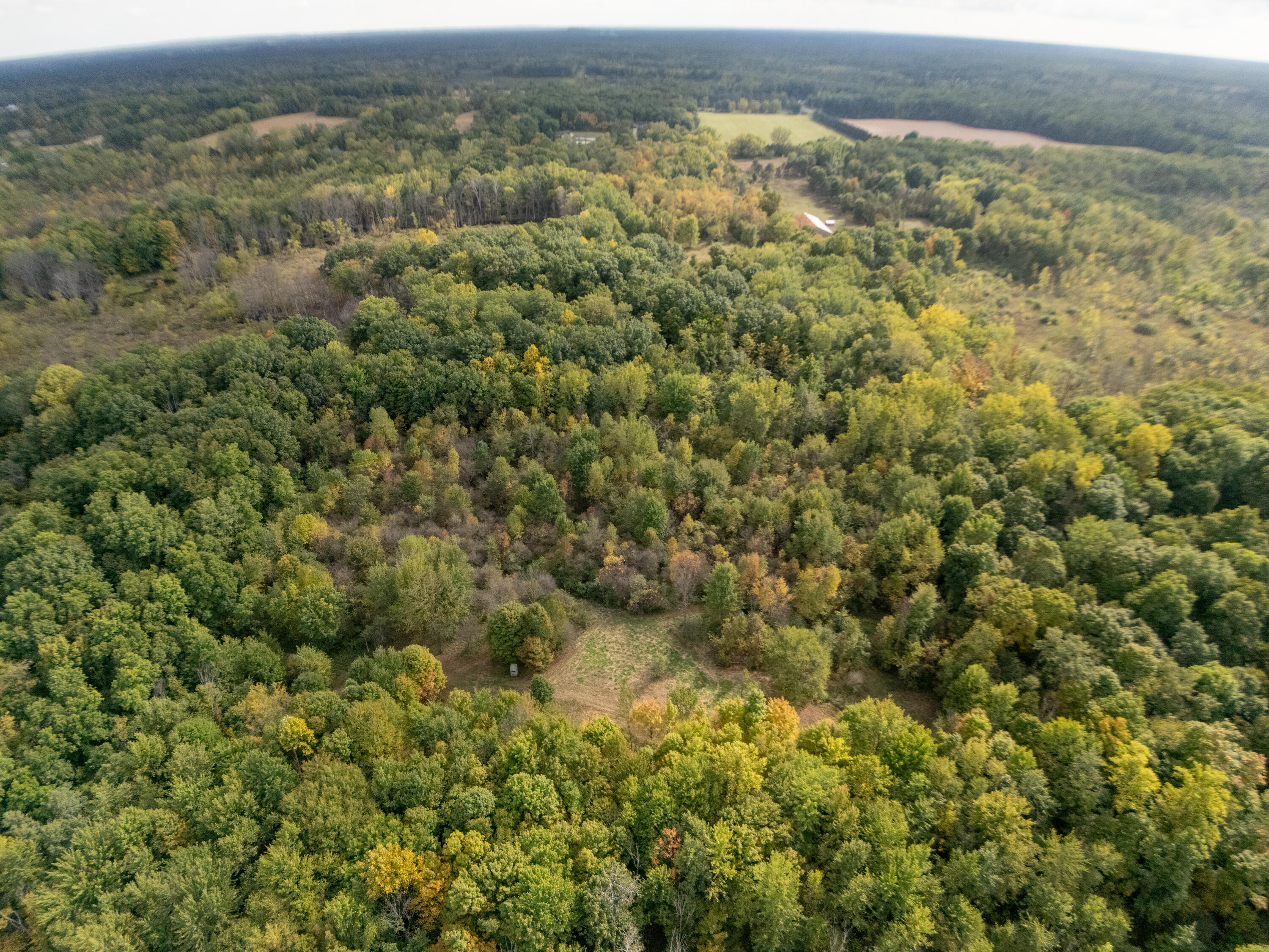 35780 36th Avenue Waverly Township MI 49079