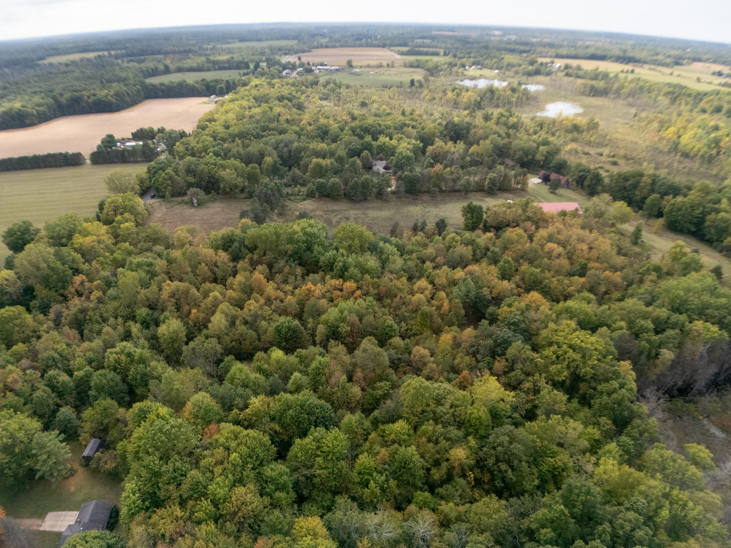 35780 36th Avenue Waverly Township MI 49079