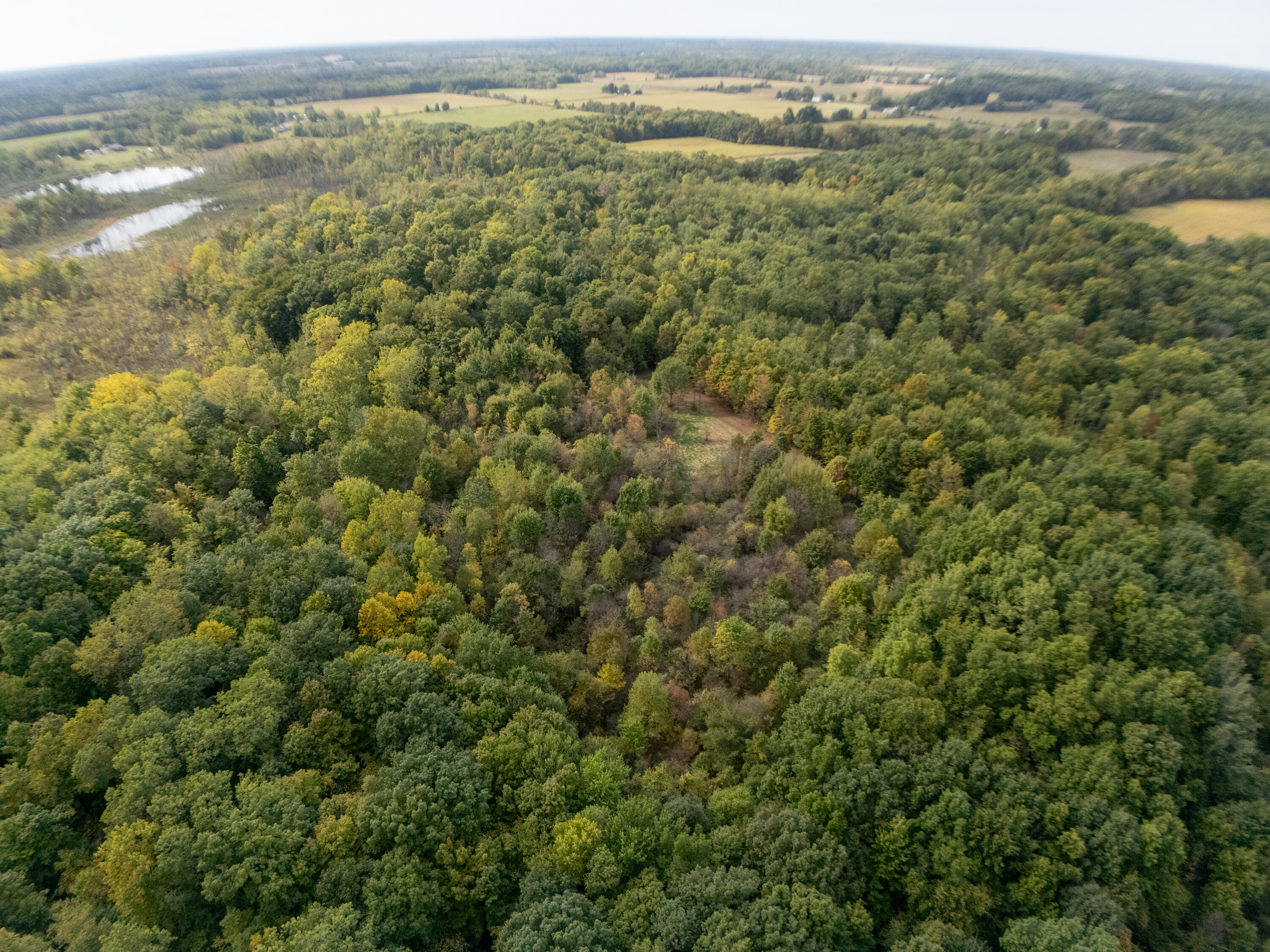 35780 36th Avenue Waverly Township MI 49079