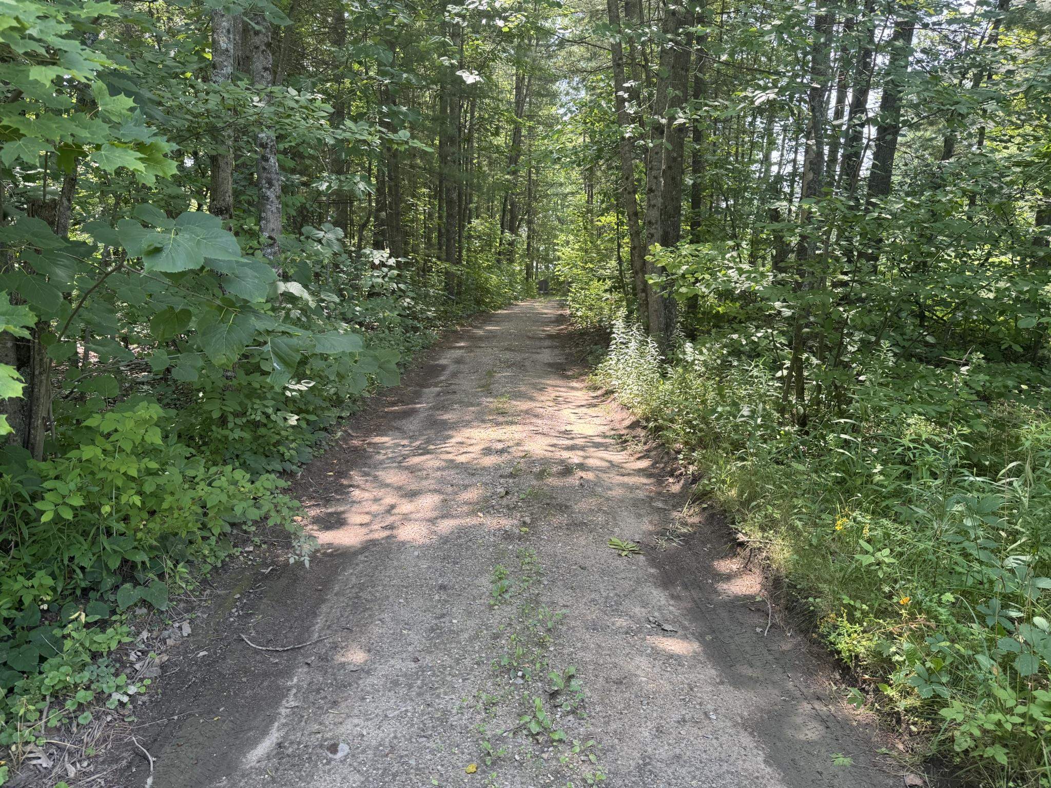 Ville Elm Street Butterfield Township MI 49667