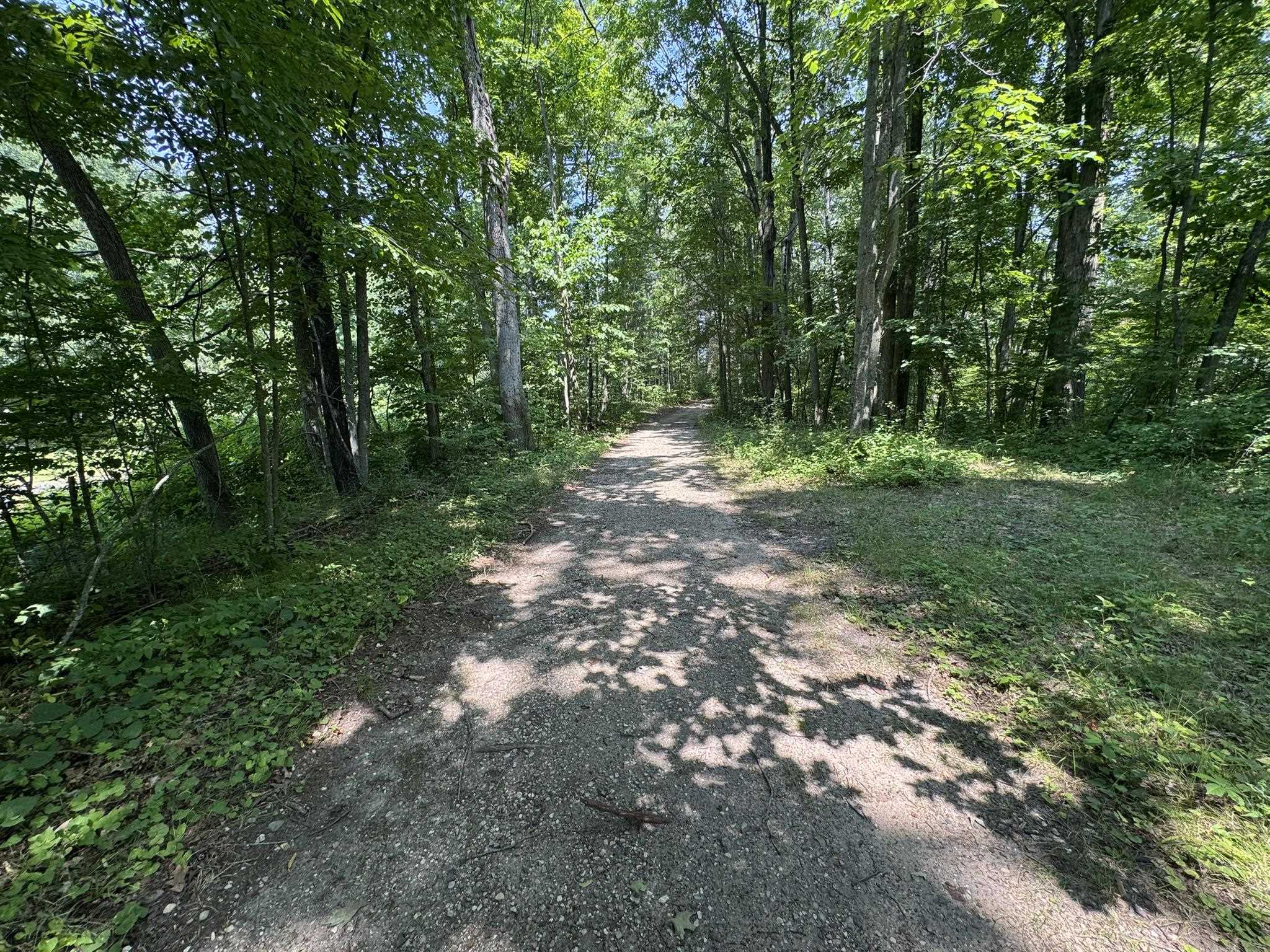 Ville Elm Street Butterfield Township MI 49667