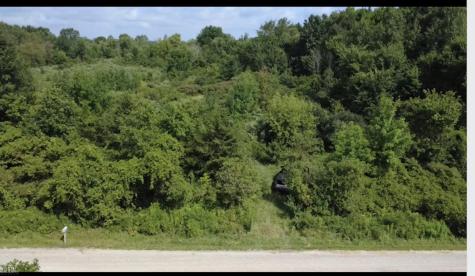 0 Nettney Road Capac Village MI 48014