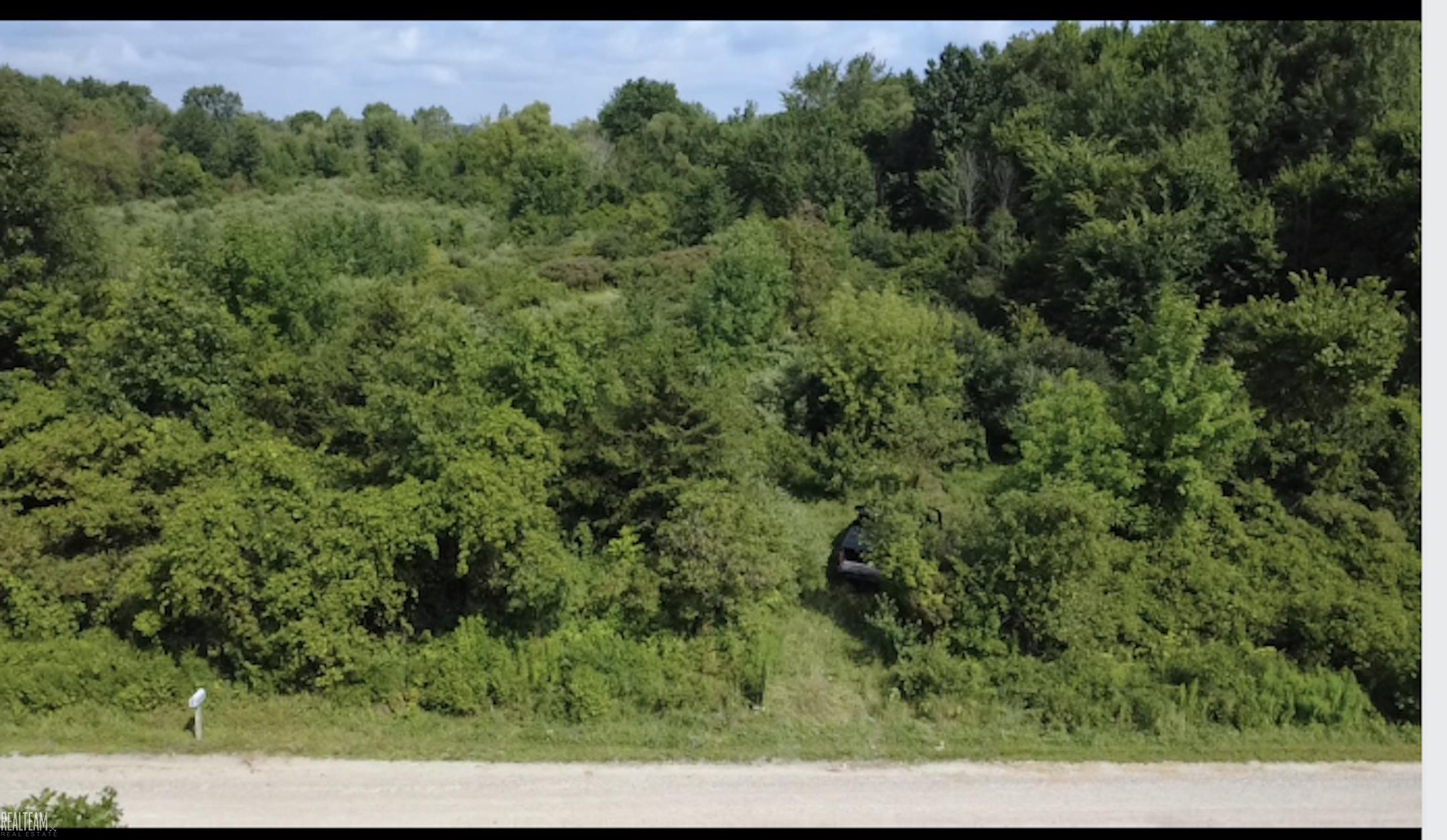 0 Nettney Road Capac Village MI 48014