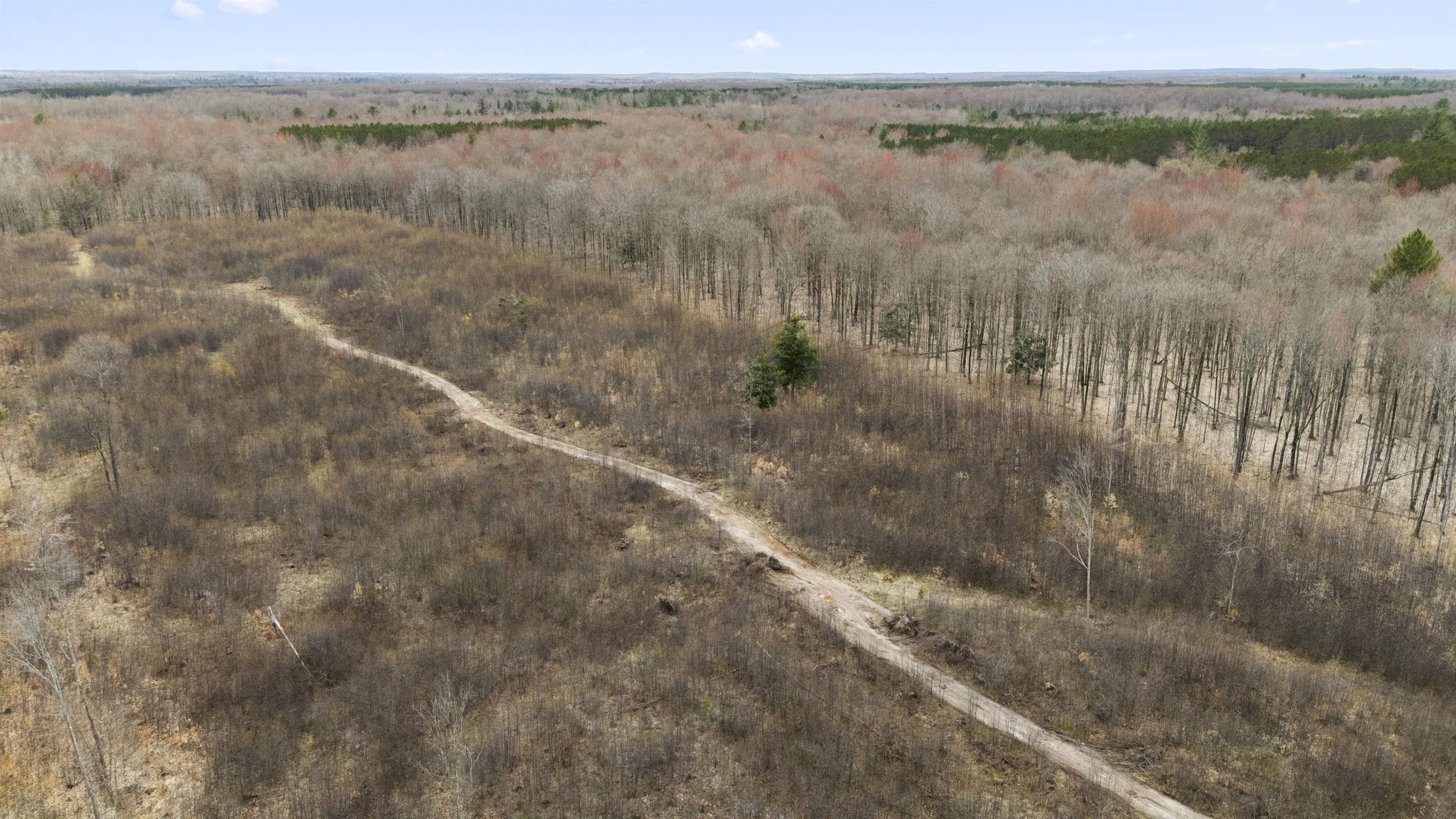 Parcel D E 32 Road Selma Township MI 49601