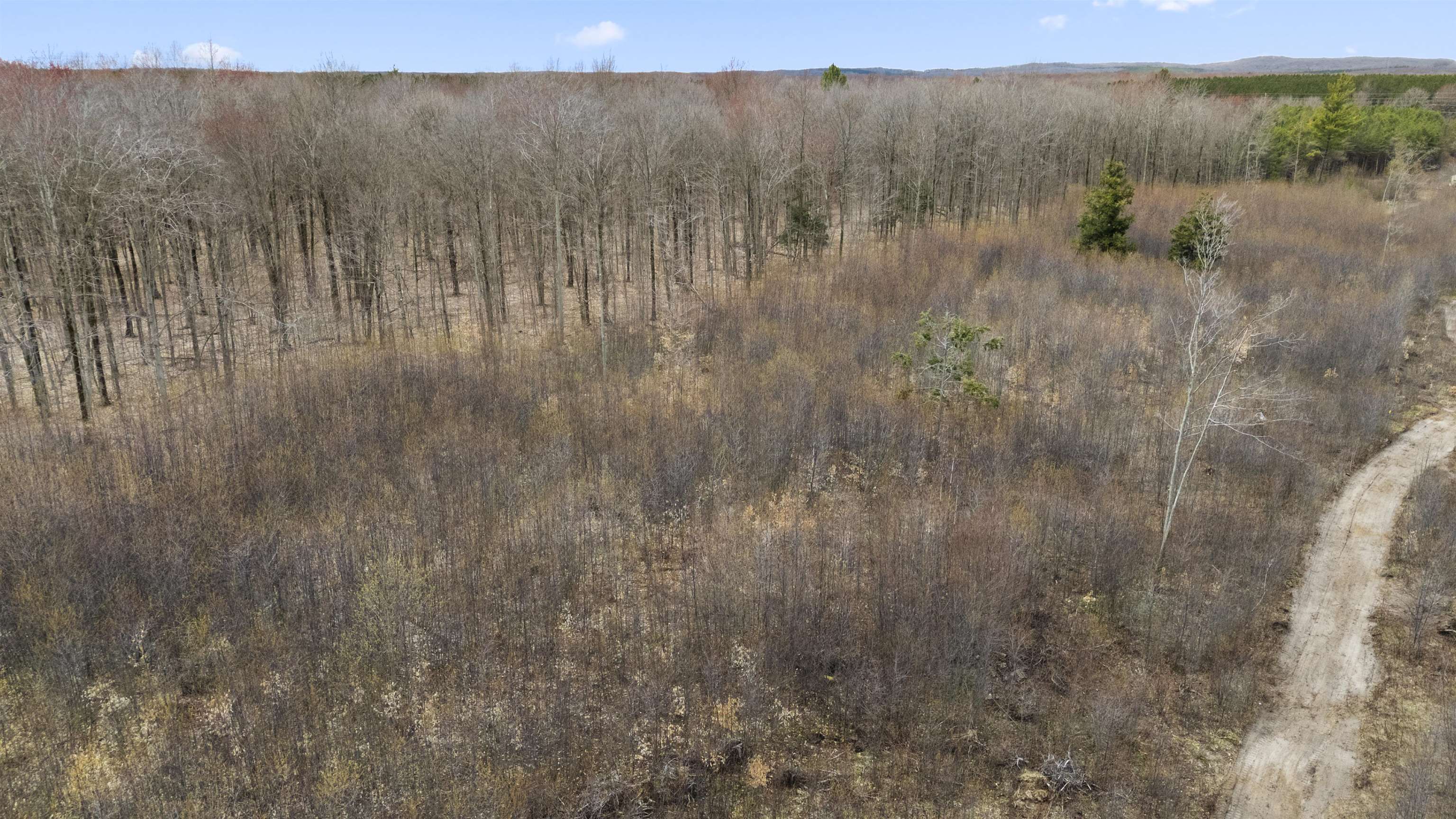 Parcel D E 32 Road Selma Township MI 49601