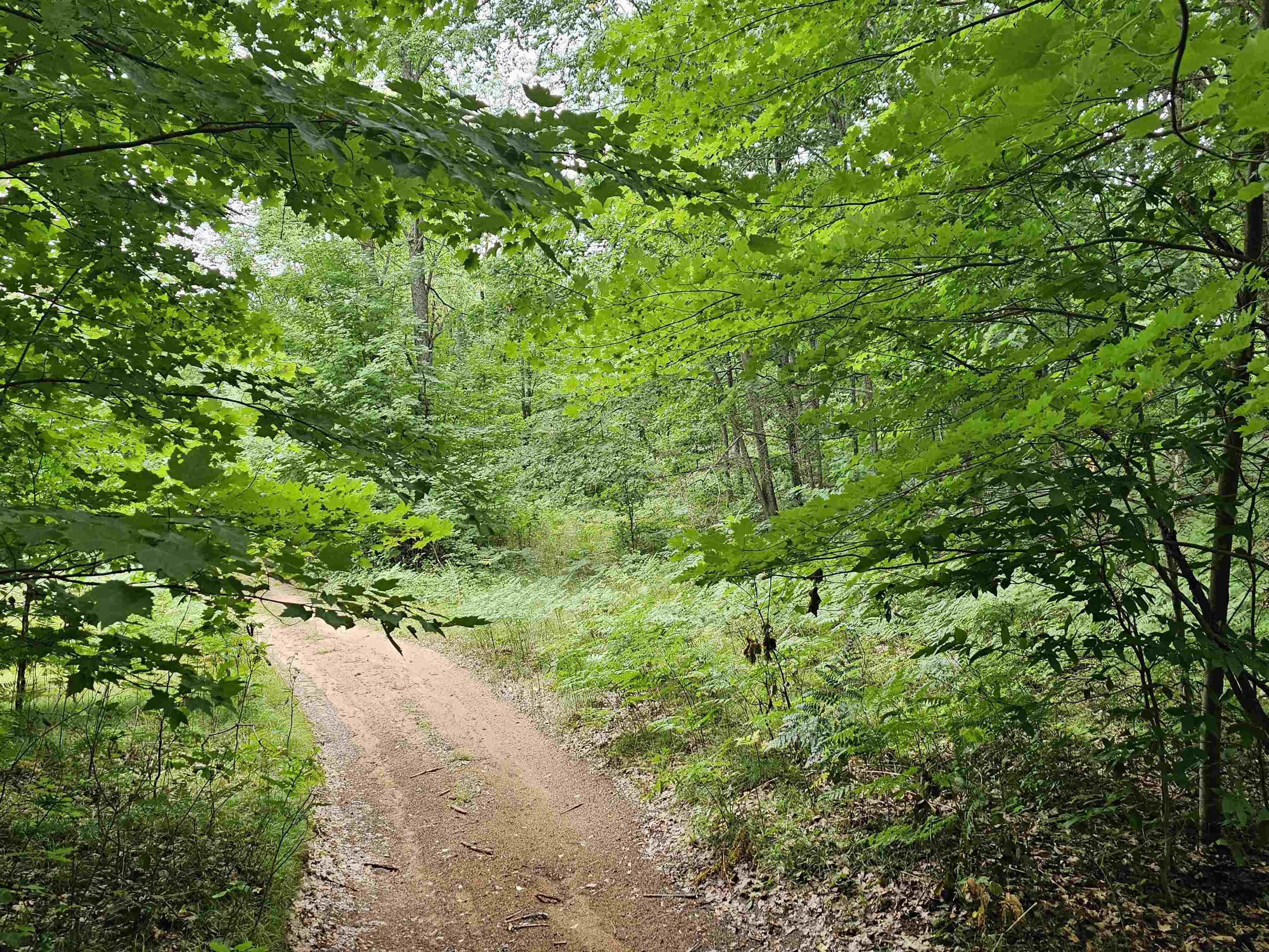 V/l Canyon Road Rose Lake Township MI 49665