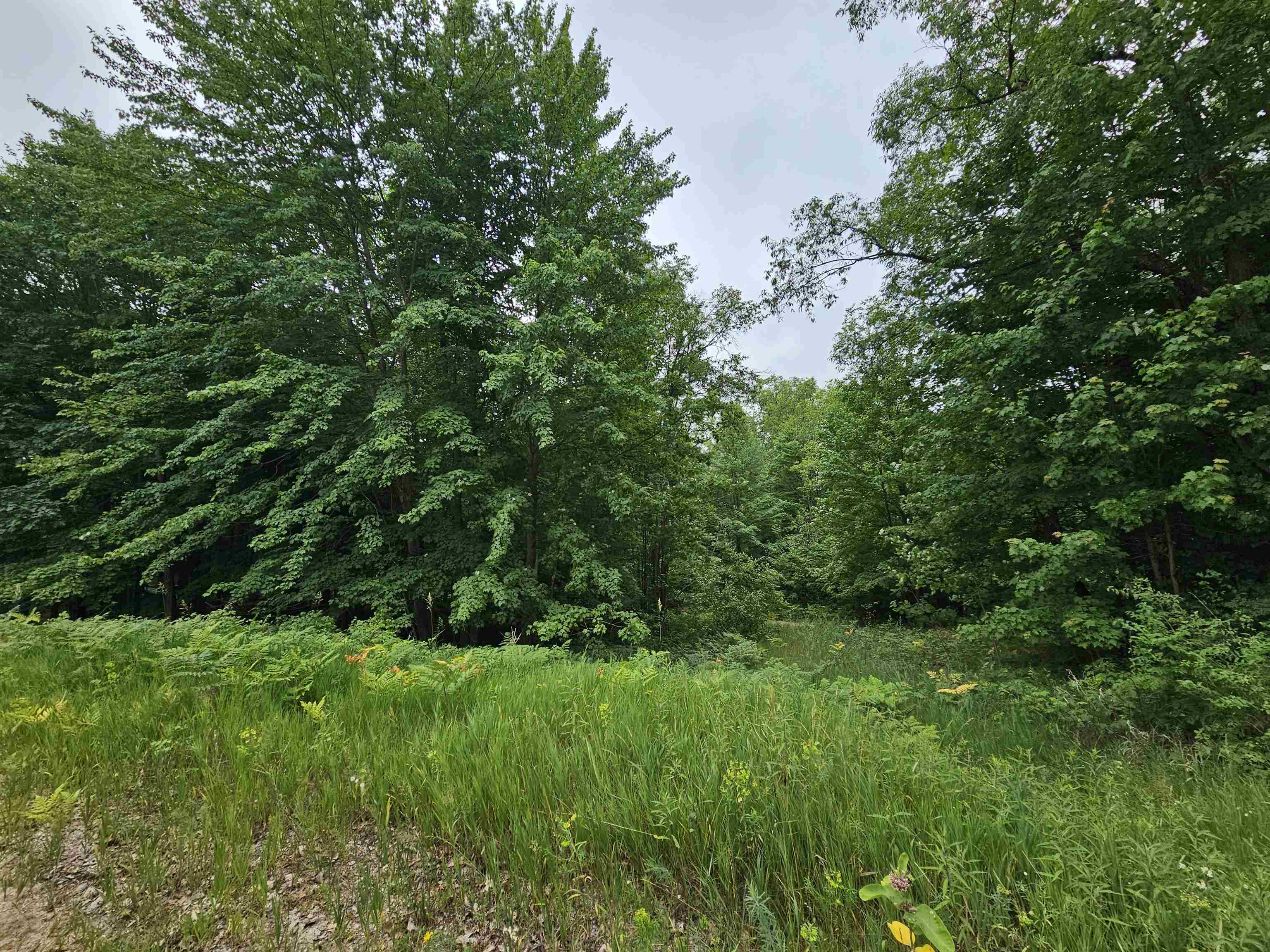 V/l Canyon Road Rose Lake Township MI 49665