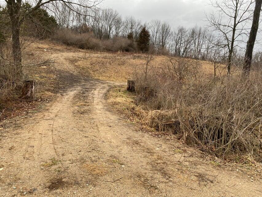 Lot 1 W Shaw Road Orangeville Township MI 49058