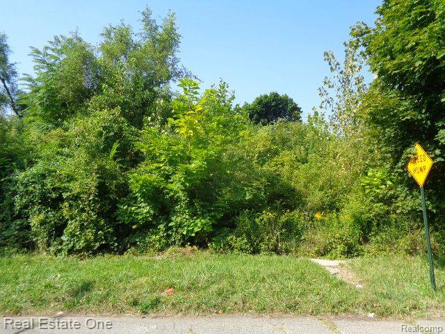 2143 Helen Street Detroit City MI 48207
