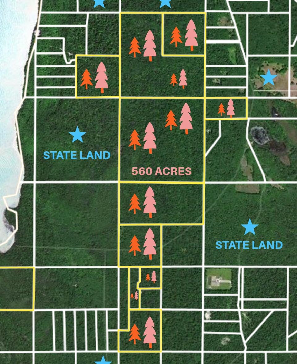 Tbd Beaver Island Road Peaine Township MI 49782
