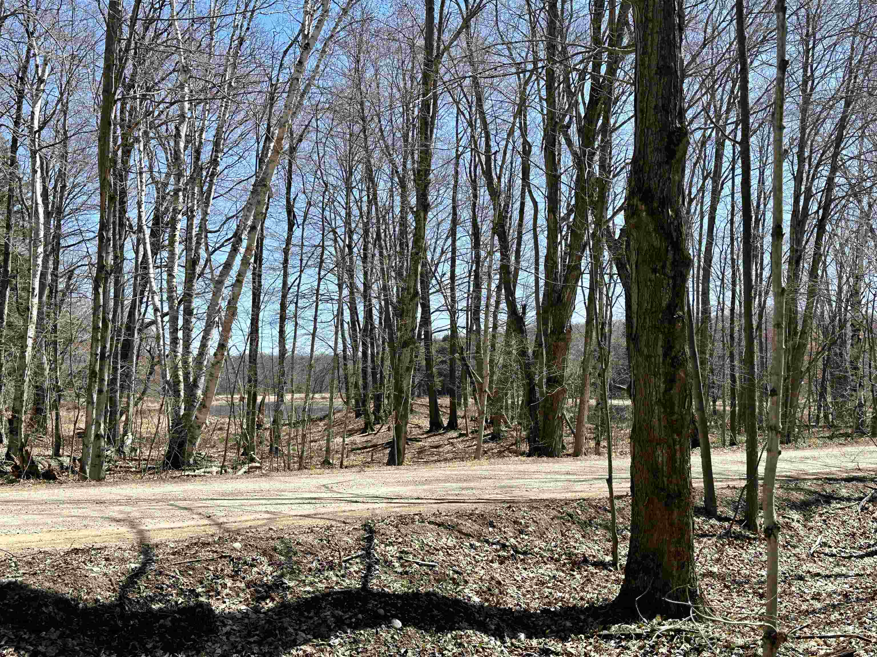 Tbd Beaver Island Road Peaine Township MI 49782