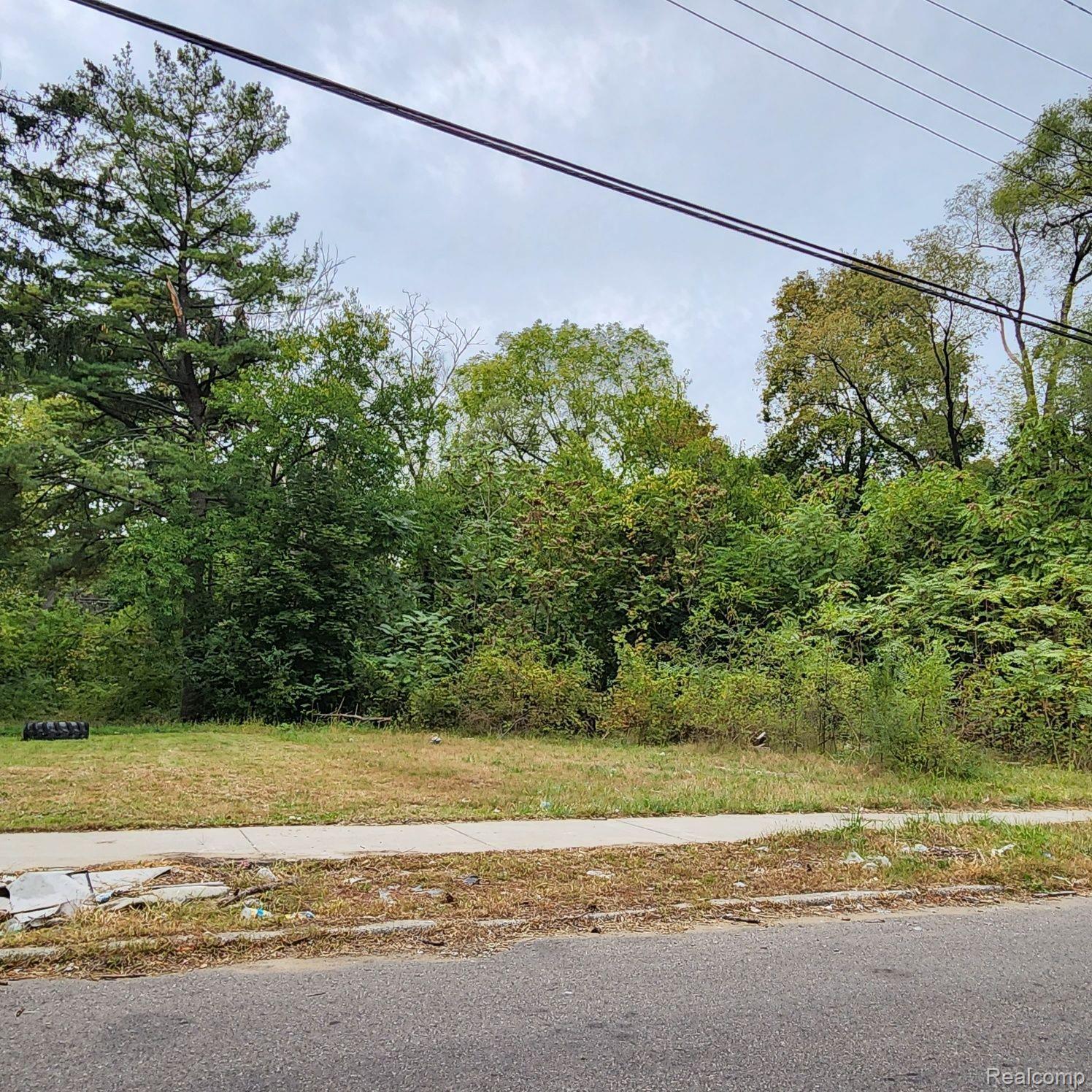 17609 Trinity Street Detroit City MI 48219