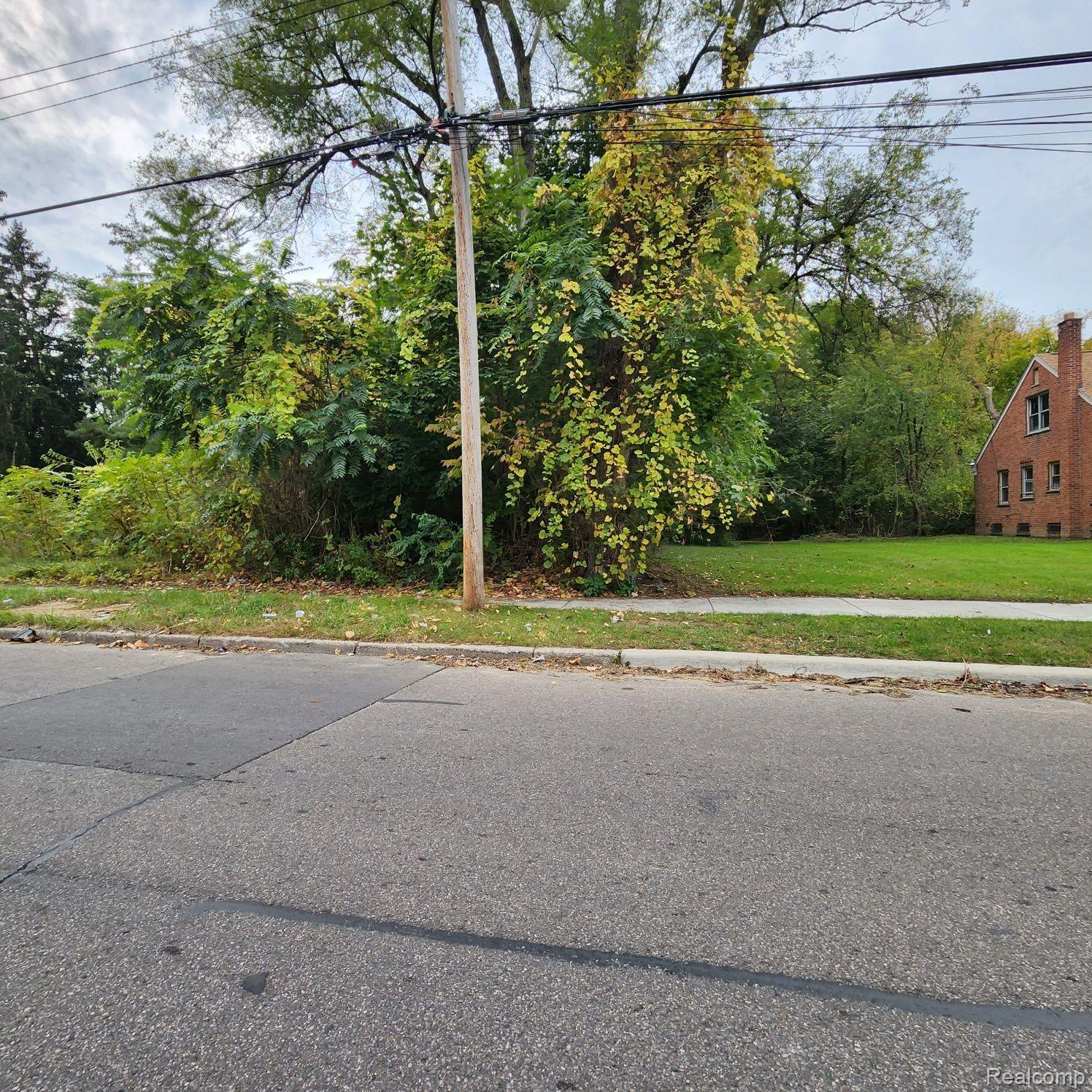 17609 Trinity Street Detroit City MI 48219
