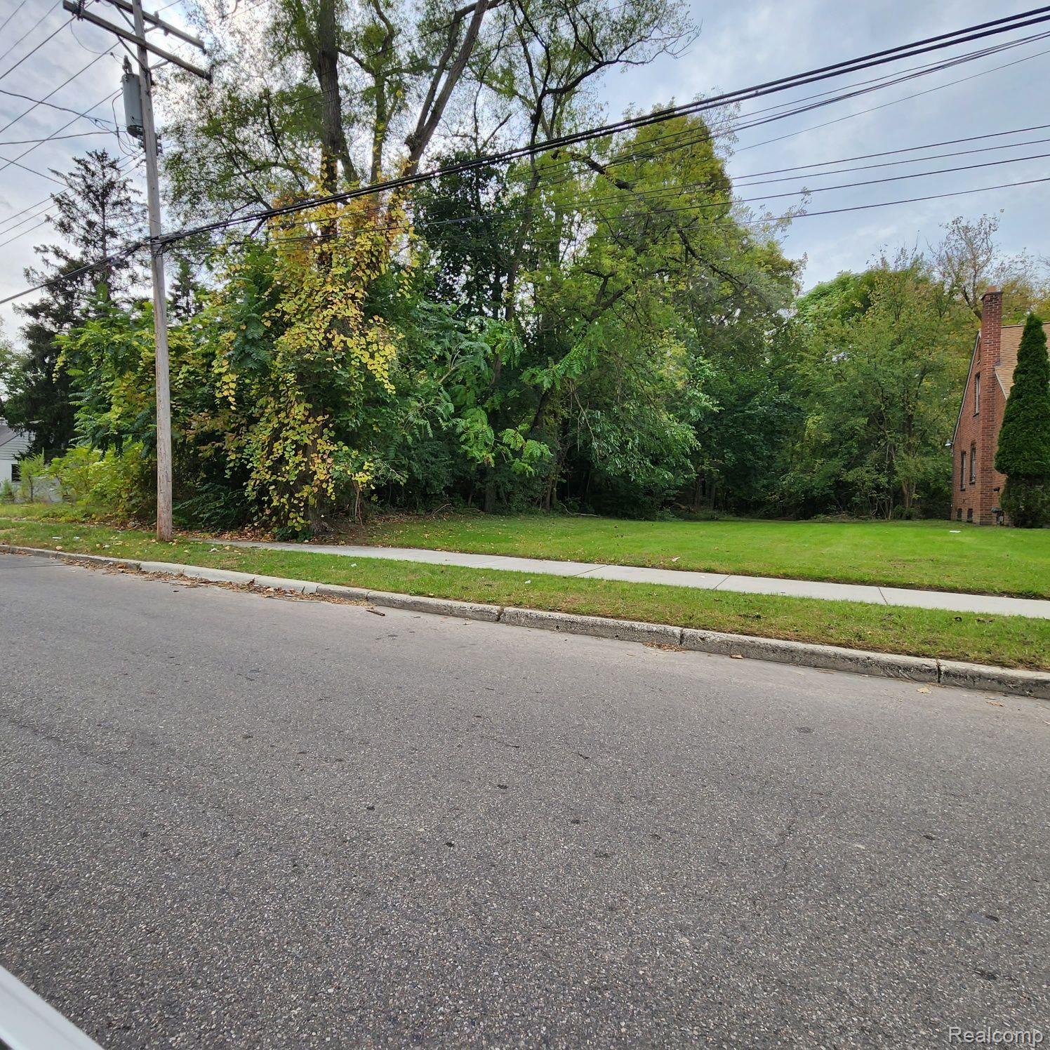 17609 Trinity Street Detroit City MI 48219