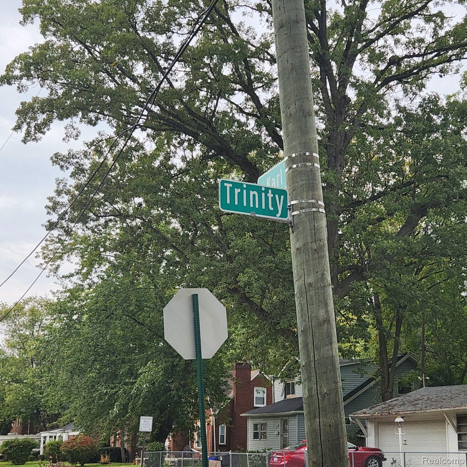 17609 Trinity Street Detroit City MI 48219