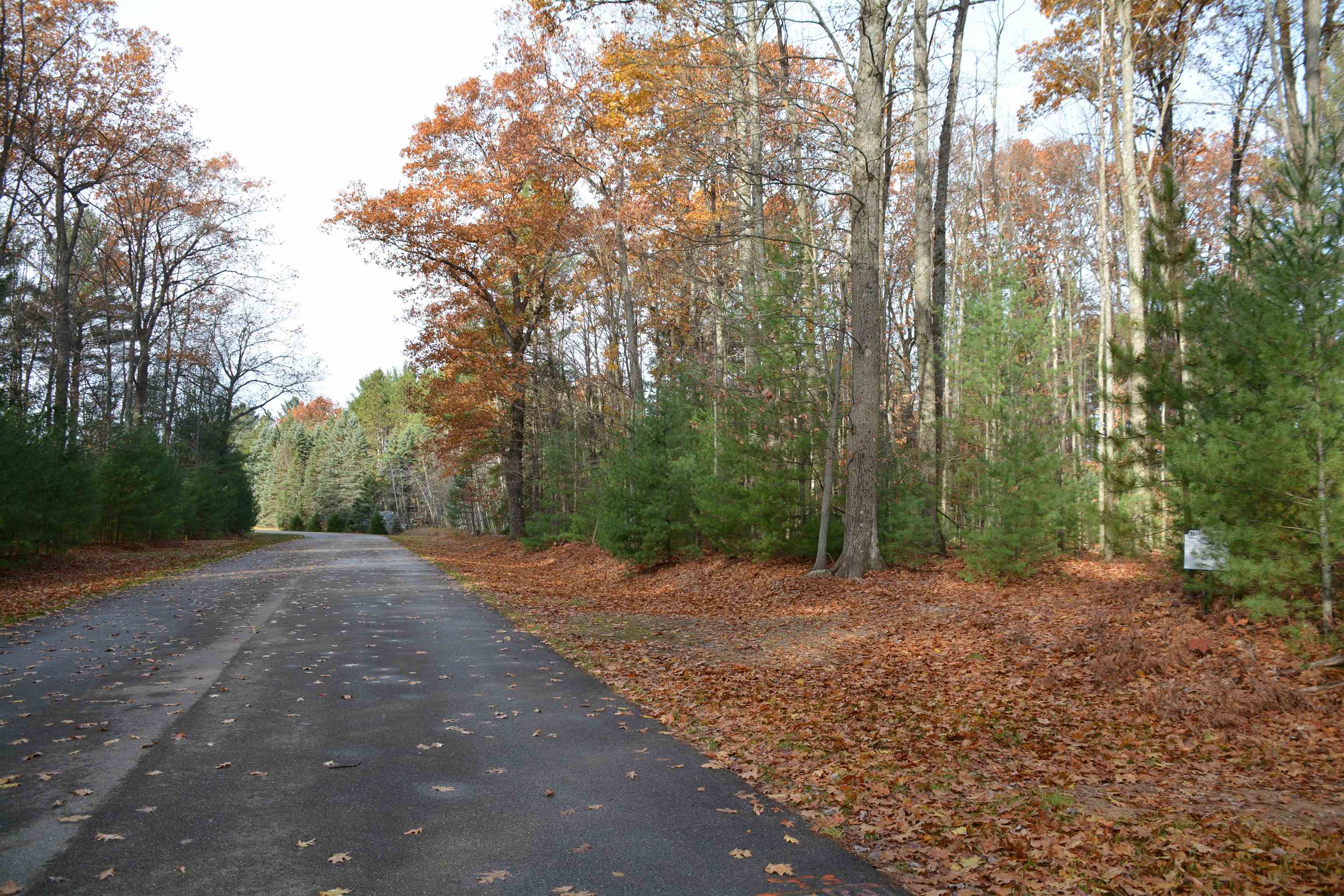 864 SE Blue Heron Drive Orange Township MI 49646
