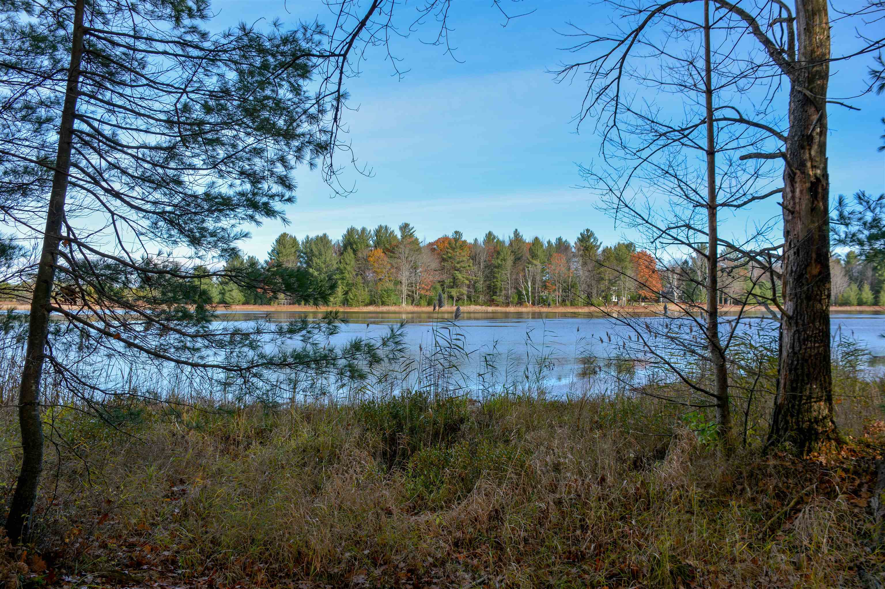 864 SE Blue Heron Drive Orange Township MI 49646