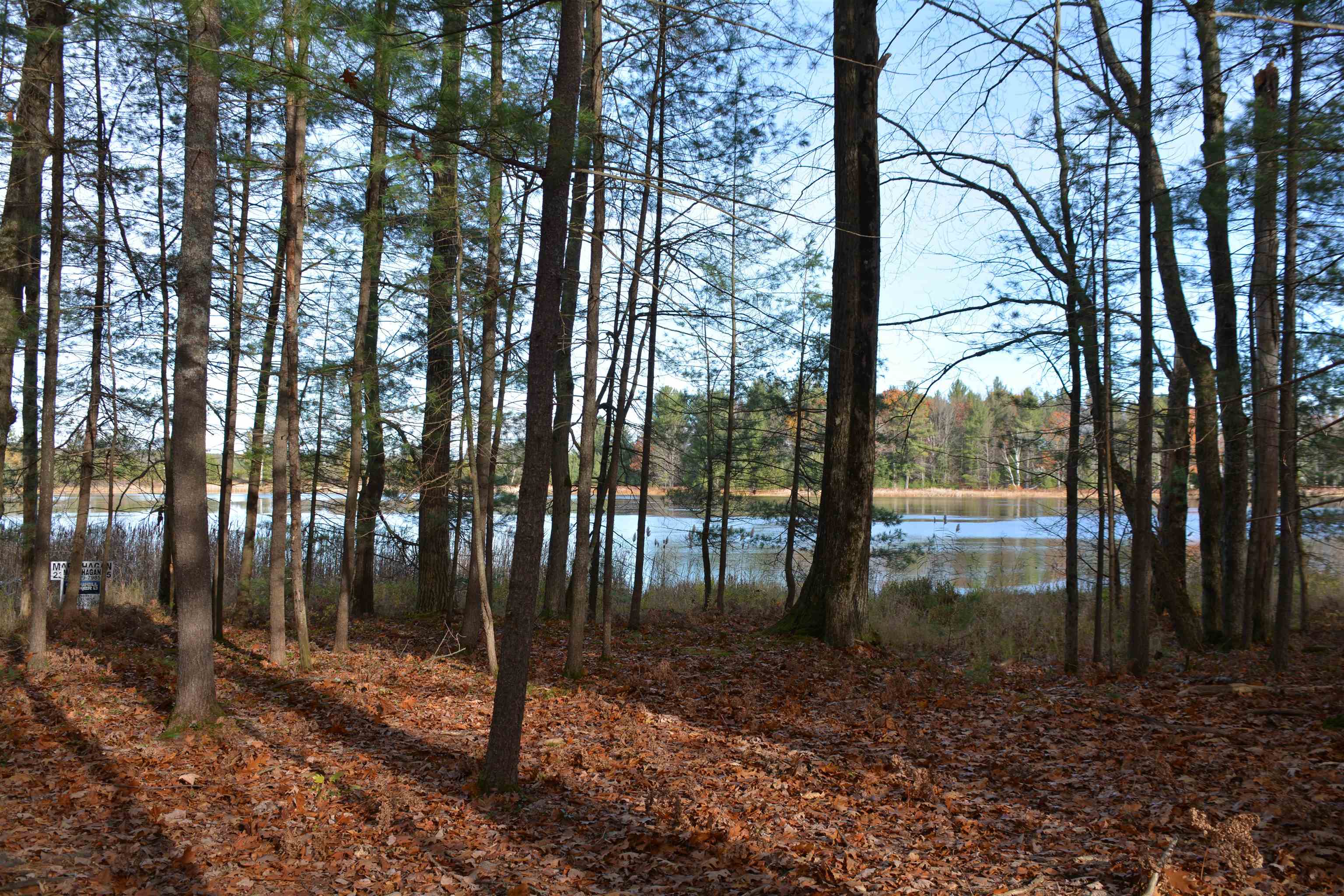864 SE Blue Heron Drive Orange Township MI 49646