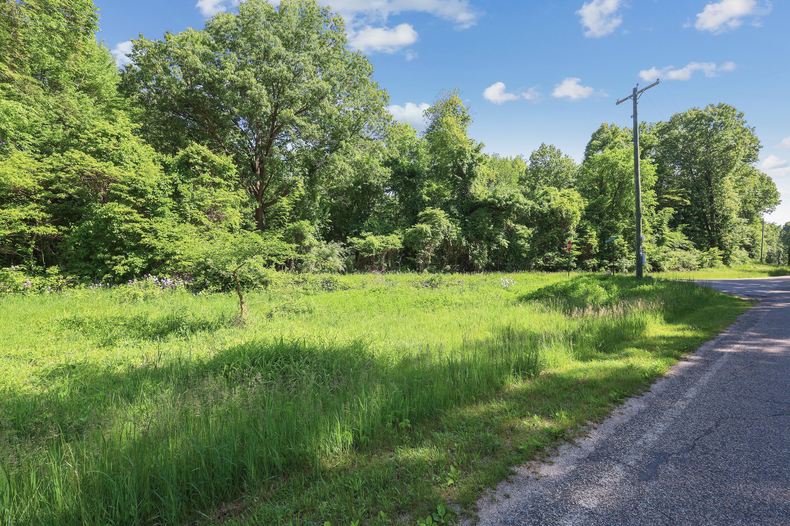 Ville Crooked Creek Road White Pigeon Township MI 49099