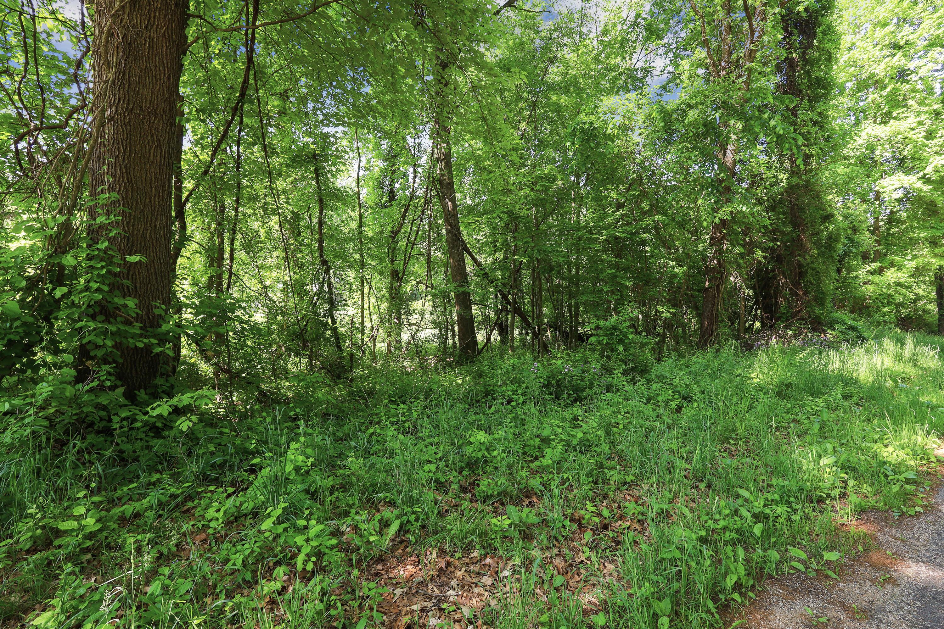 Ville Crooked Creek Road White Pigeon Township MI 49099